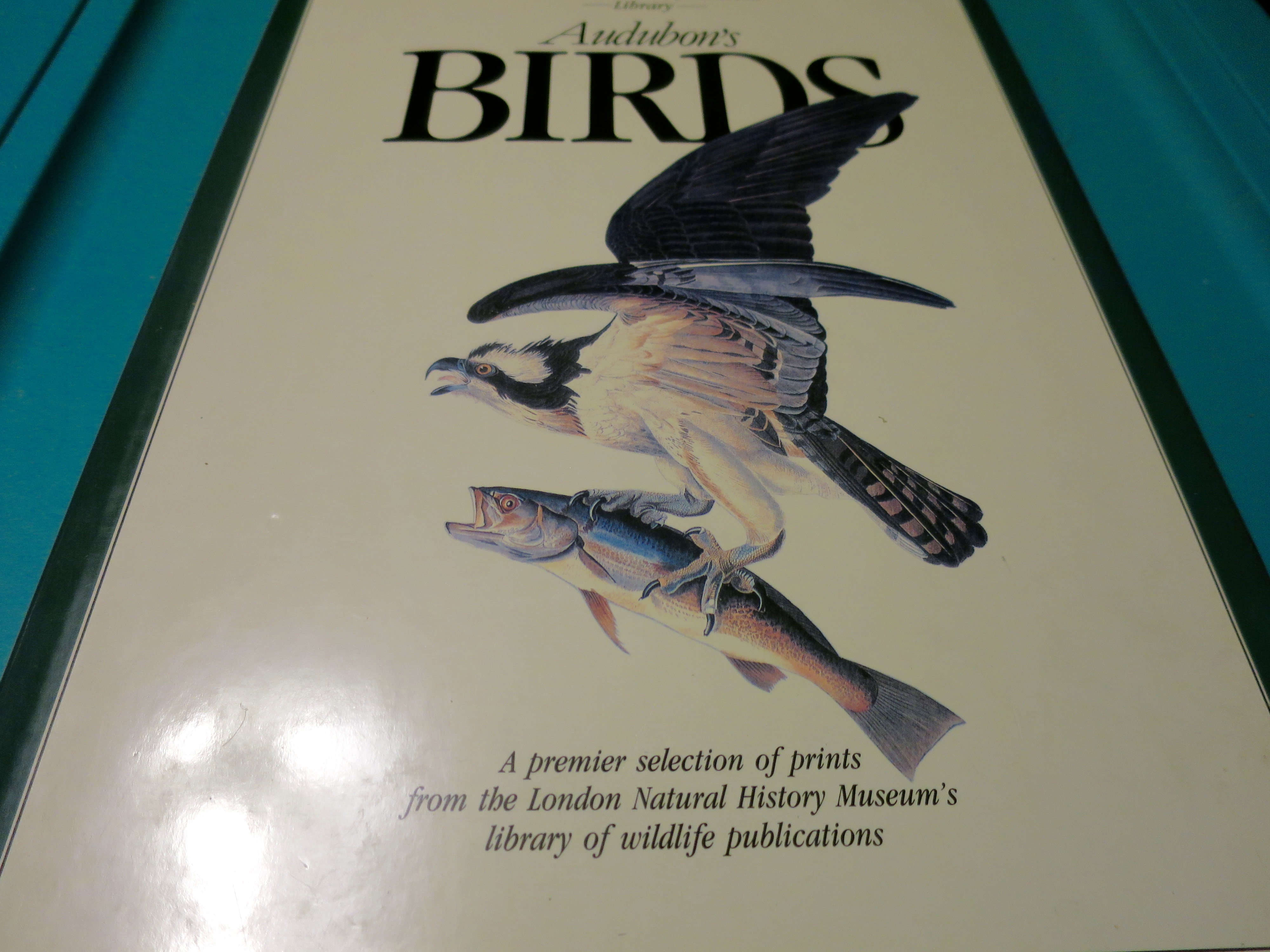 Audubons Birds Book with dust jacket 1991