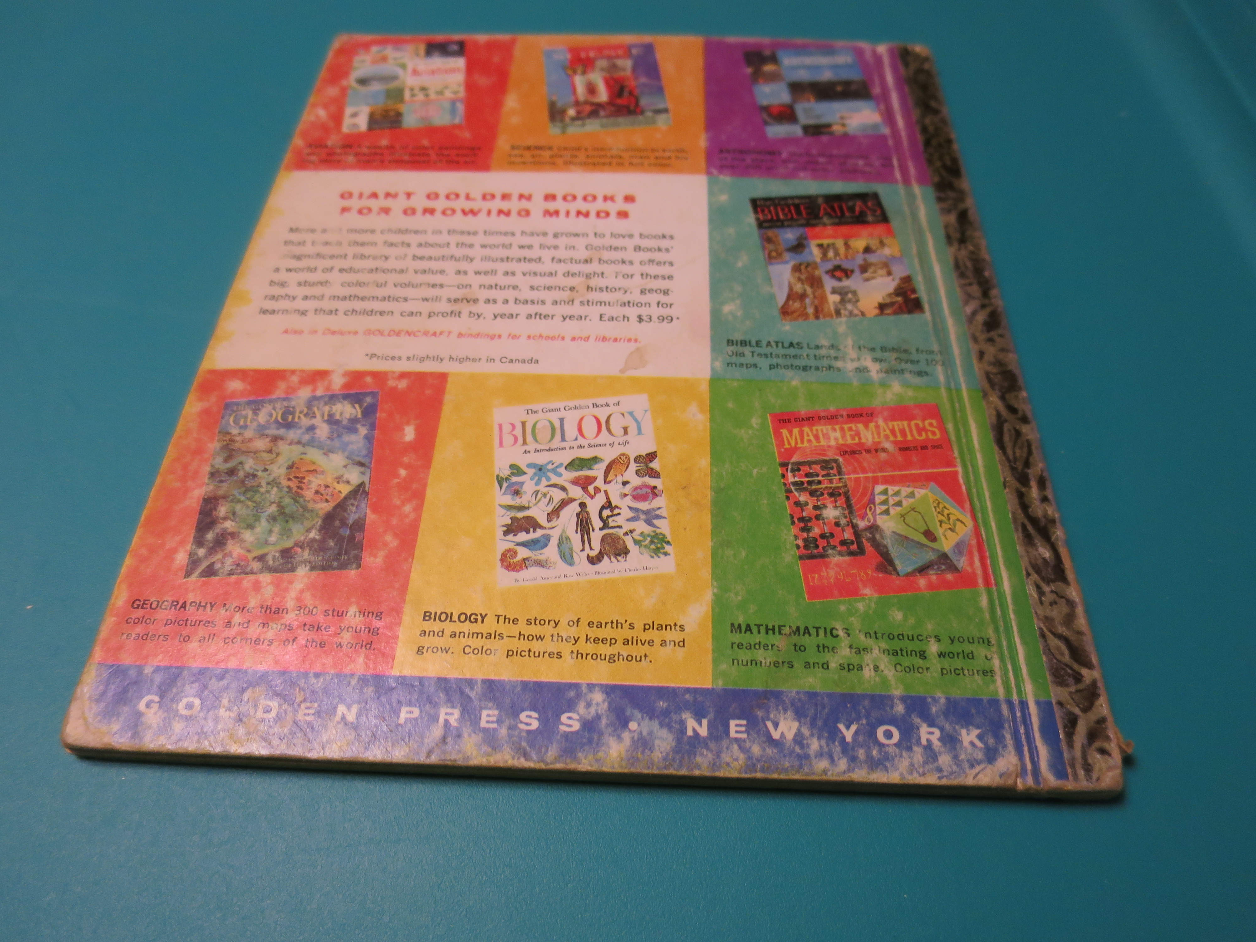 Sword And The Stone a Little Golden Book 1963
