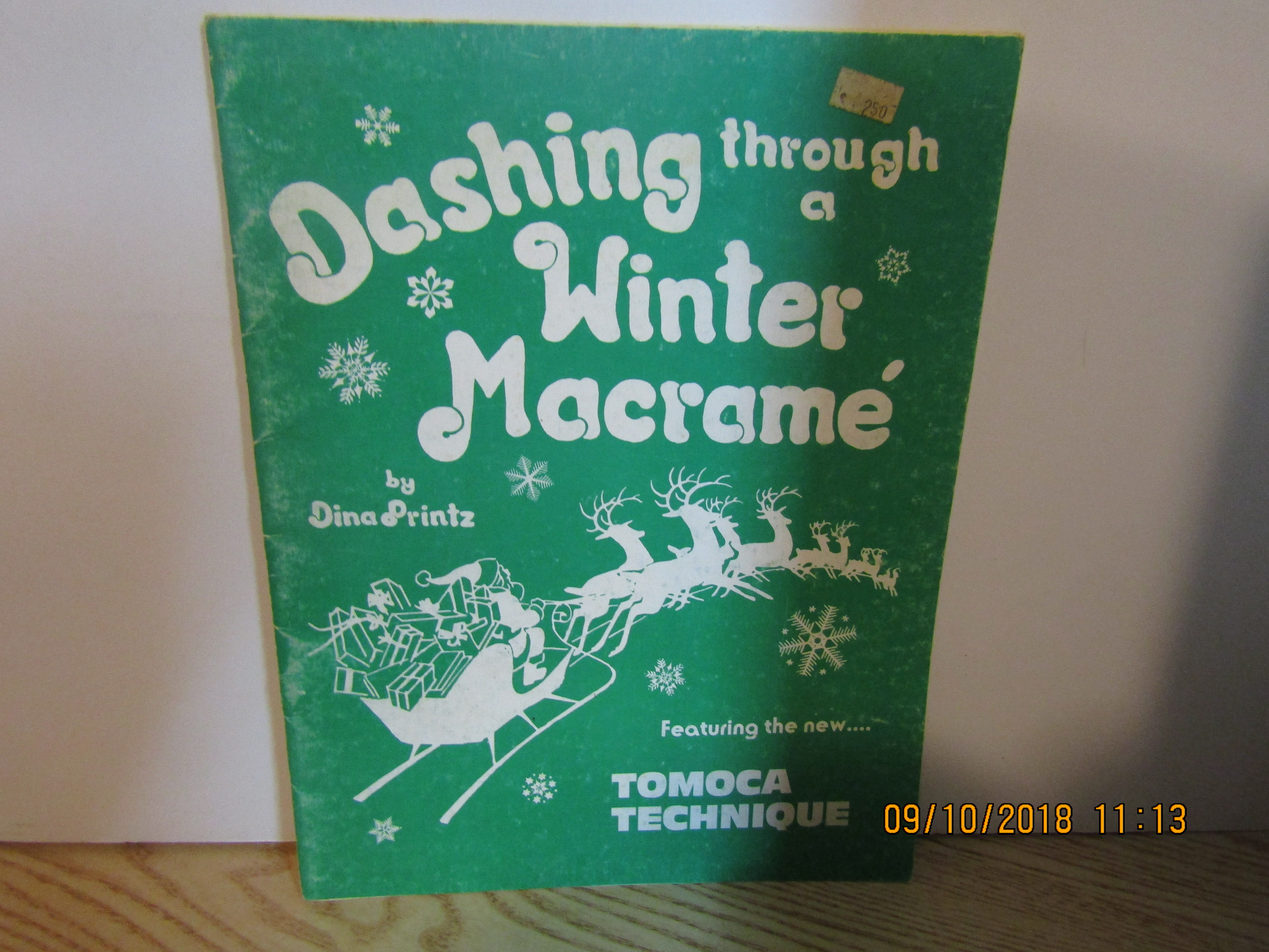 Dina's Dashing Through A Winter Macrame #1