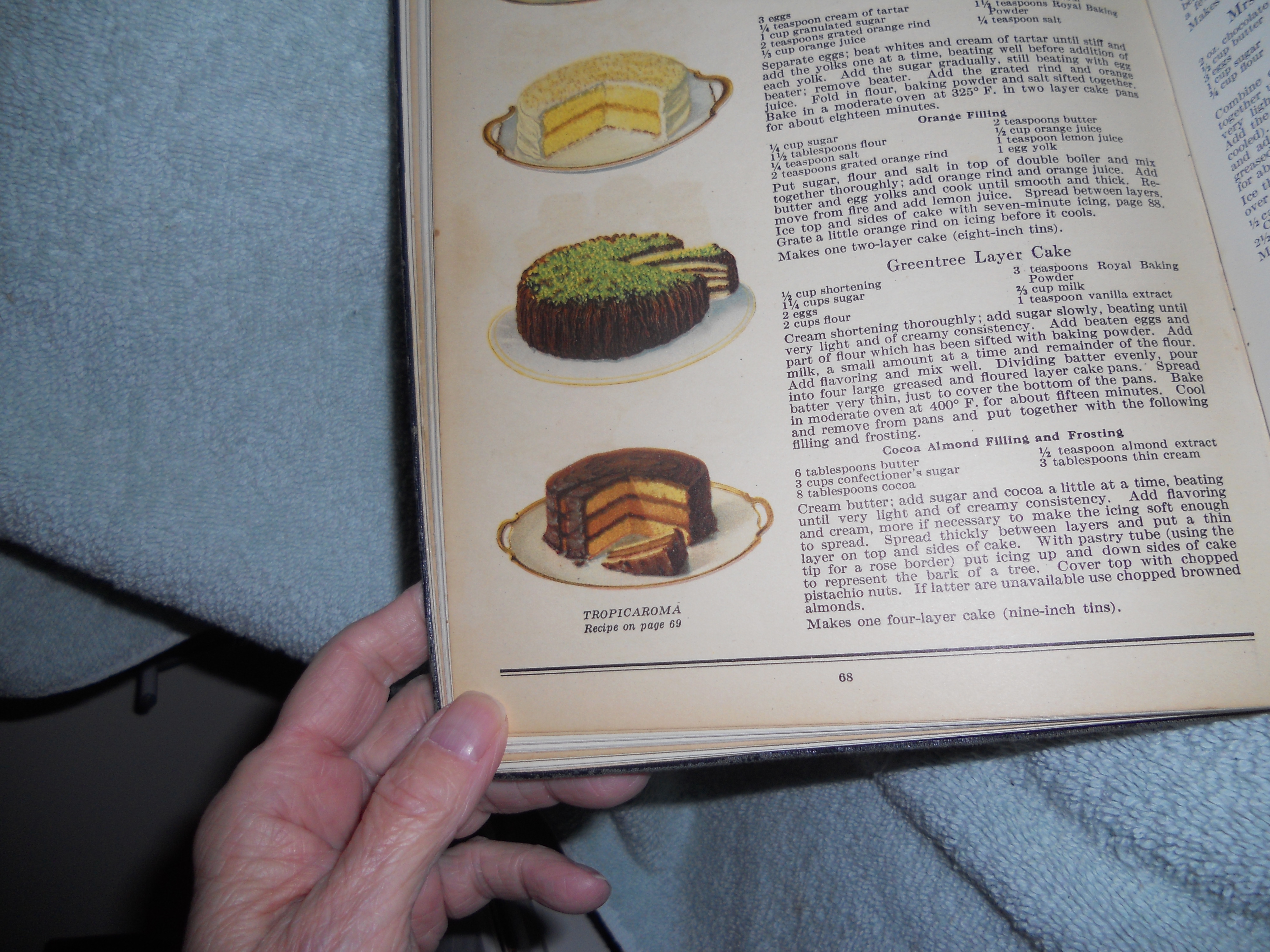 Anyone Can Bake Book Royal 1927