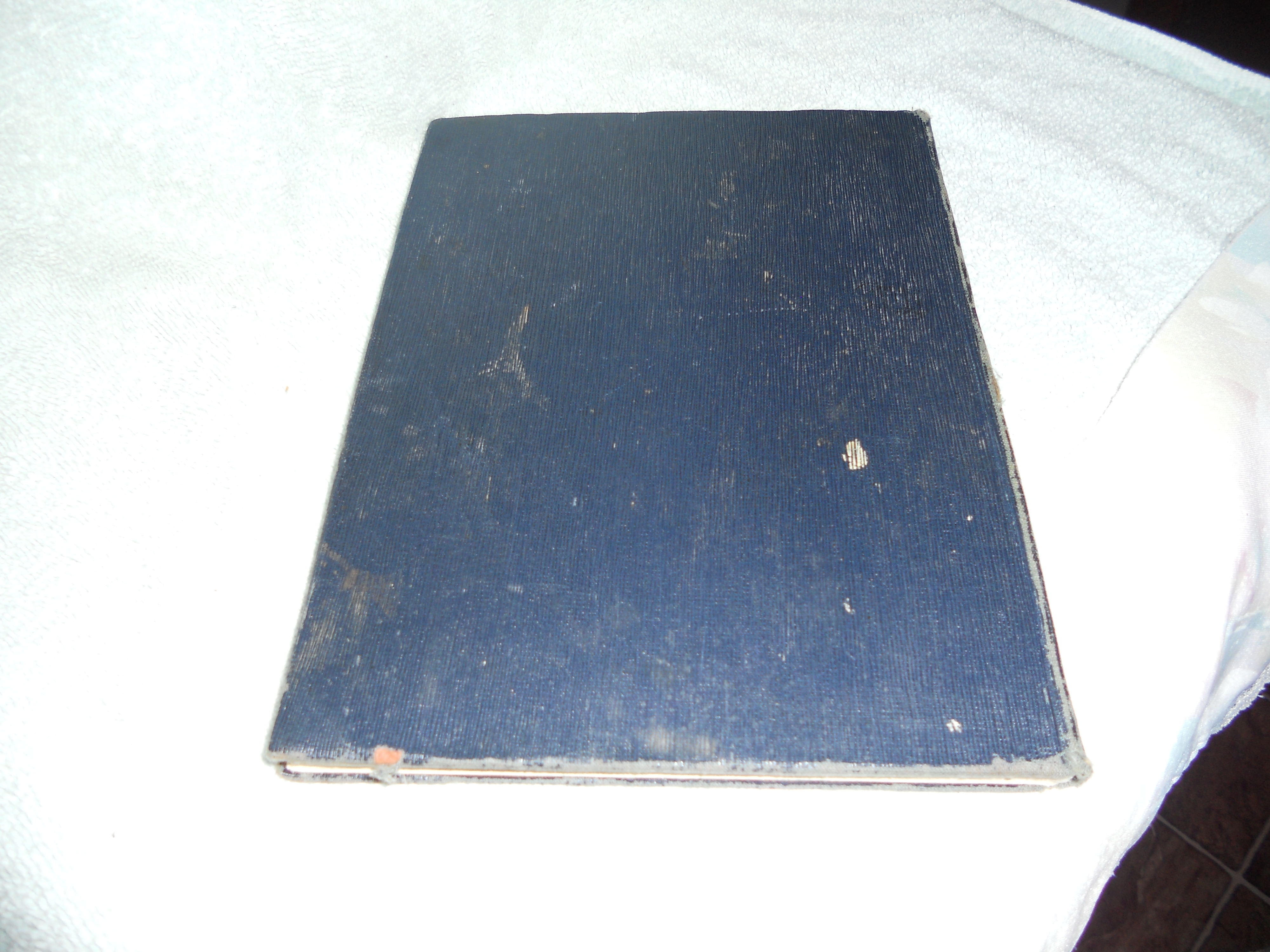 Anyone Can Bake Book Royal 1927