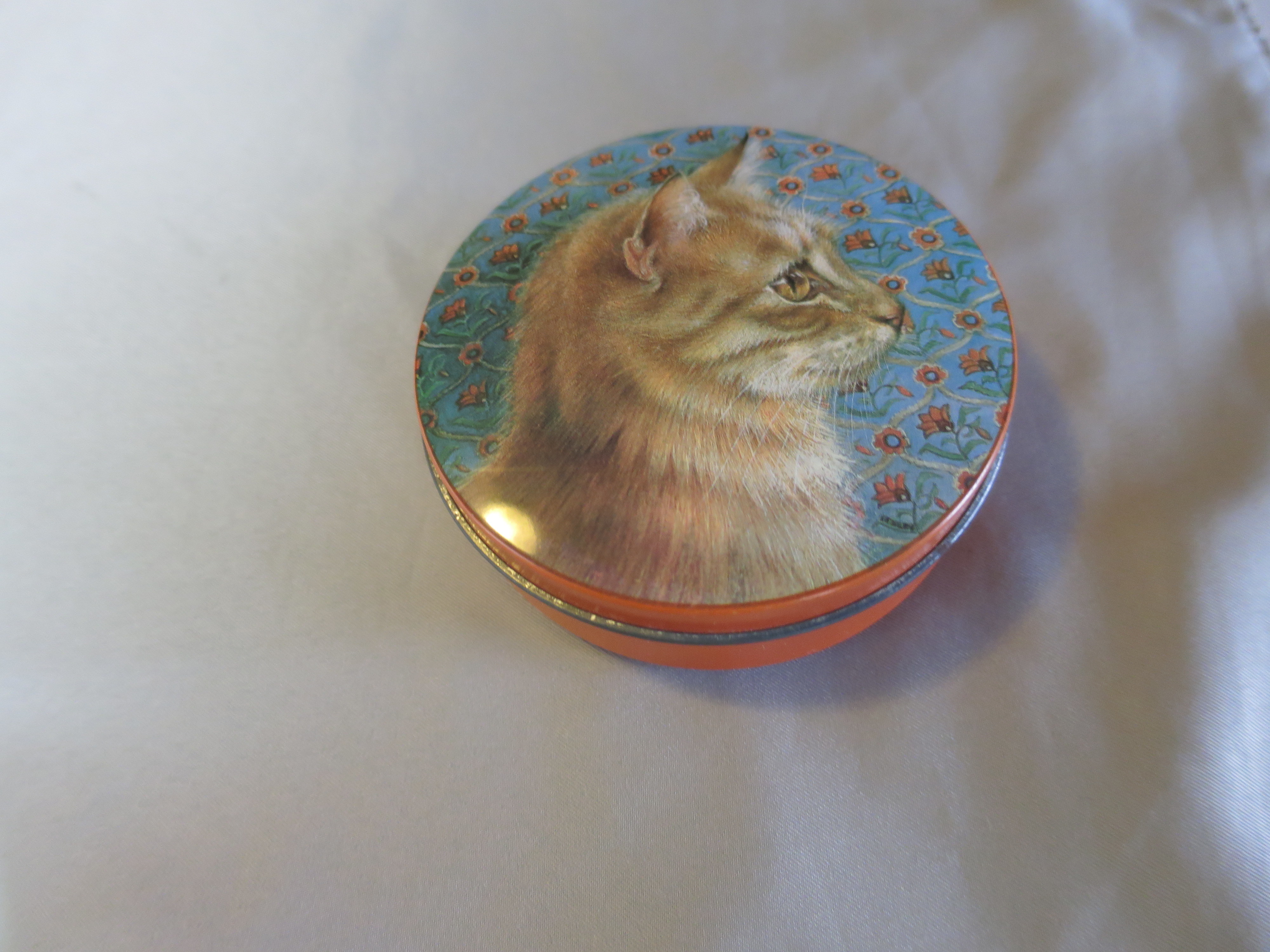 Cat Tin Hunkydory Lesley Anne Ivory 1989