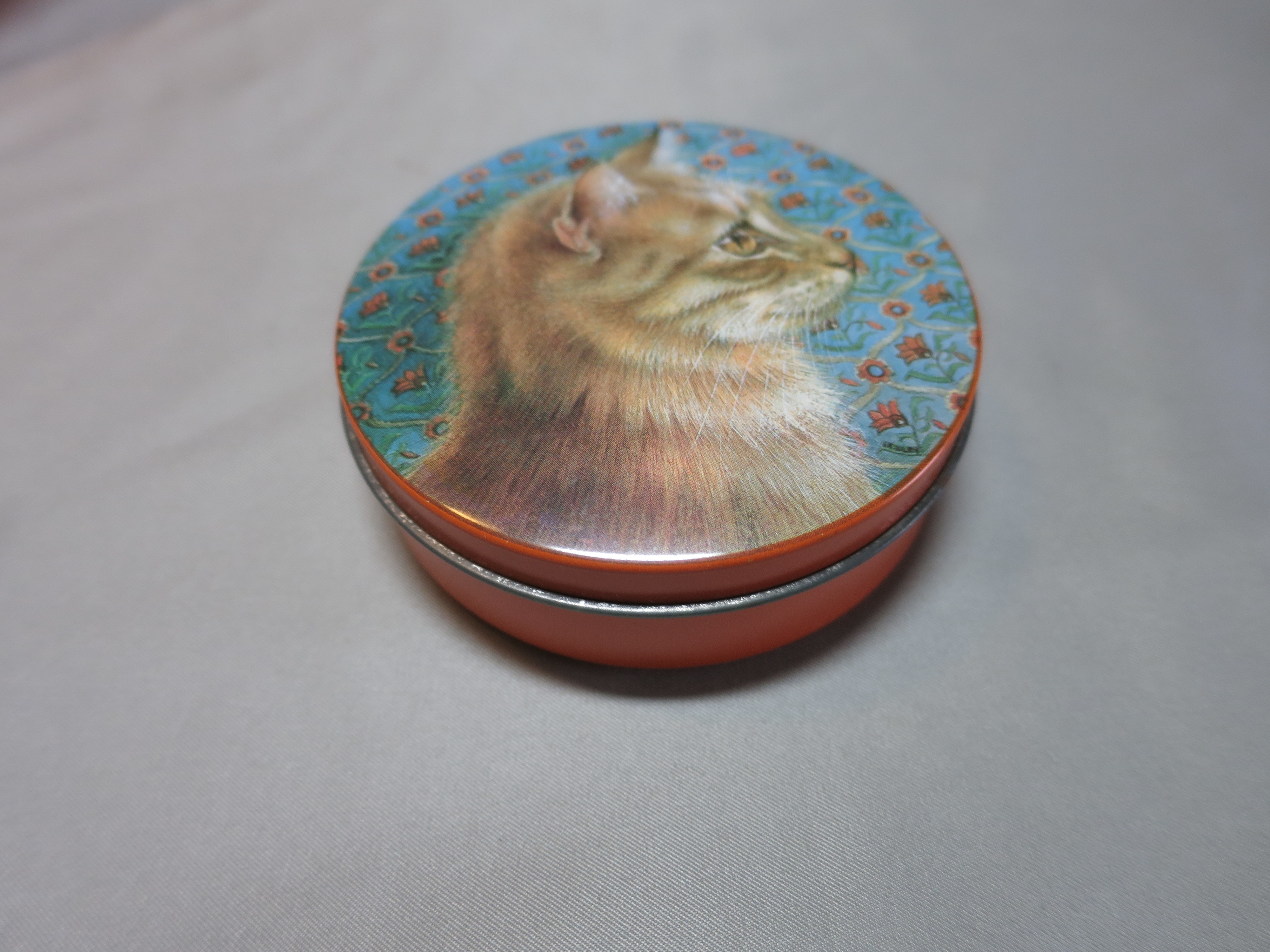 Cat Tin Hunkydory Lesley Anne Ivory 1989