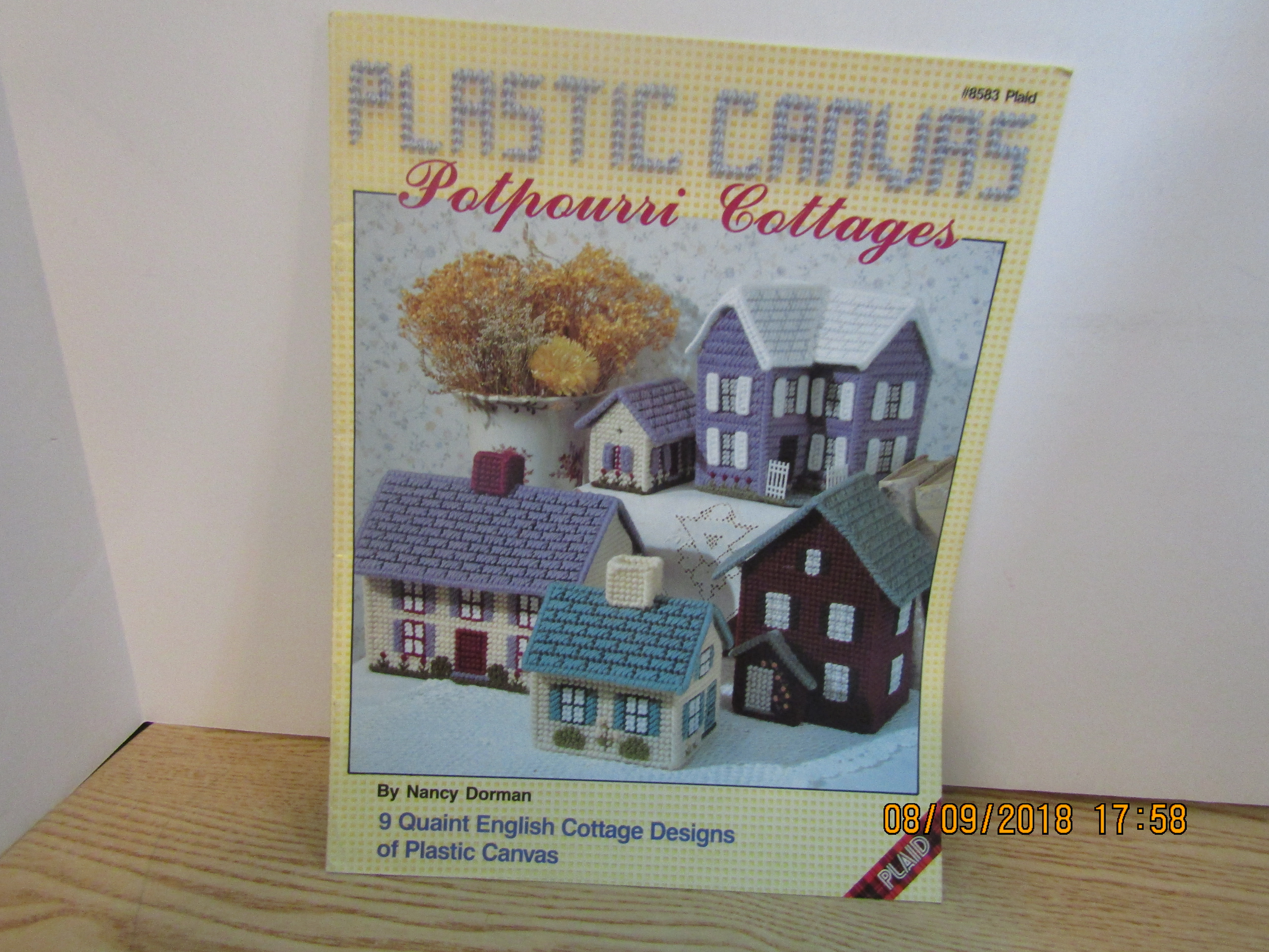 Plaid CraftBook Plastic Canvas Potpourri Cottages #8583