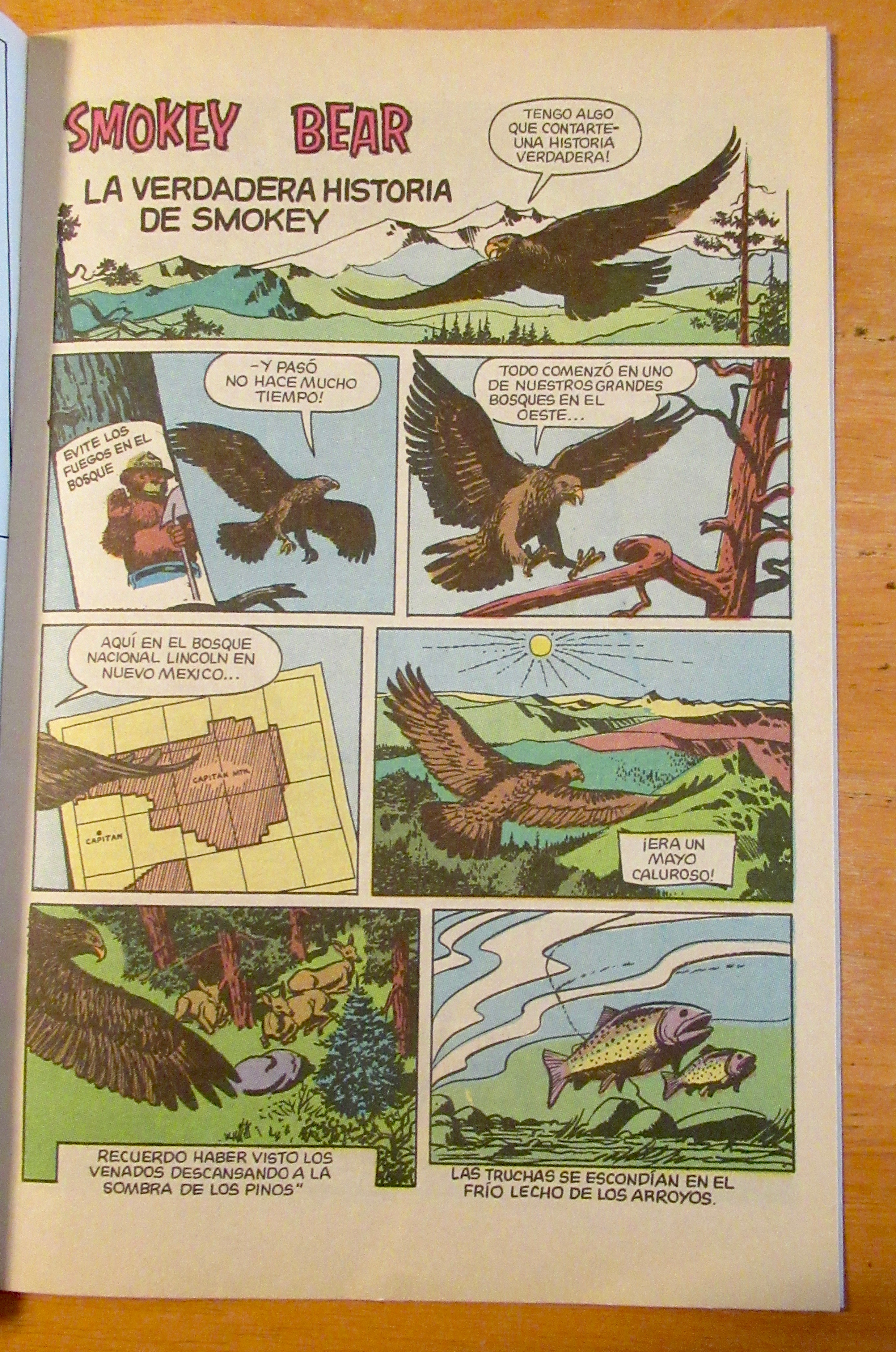 Smokey Bear Spanish Comic Book 1969 Forest Service
