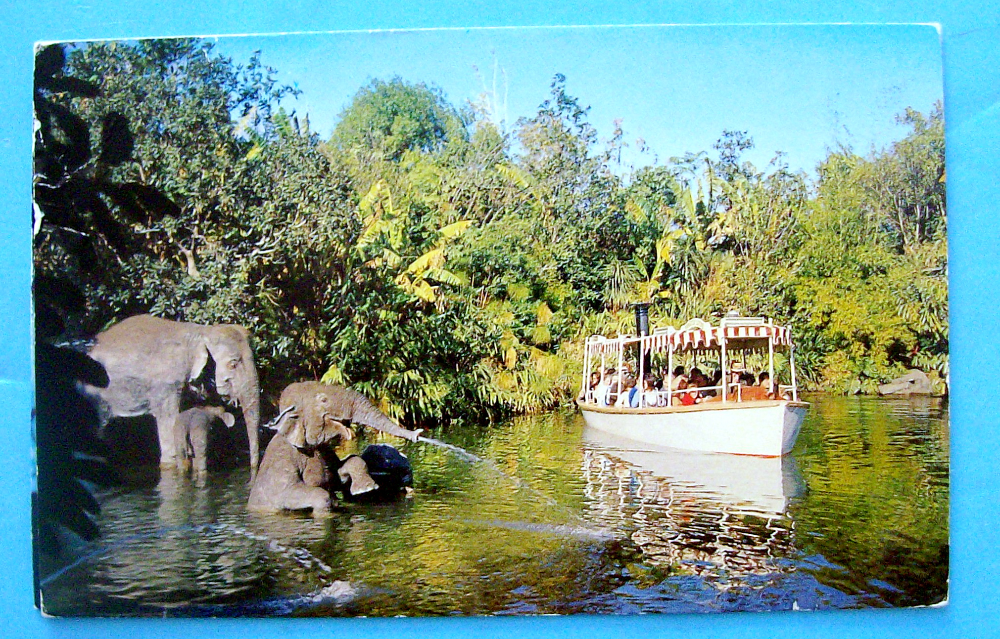 Elephant Bathing Pool Postcard
