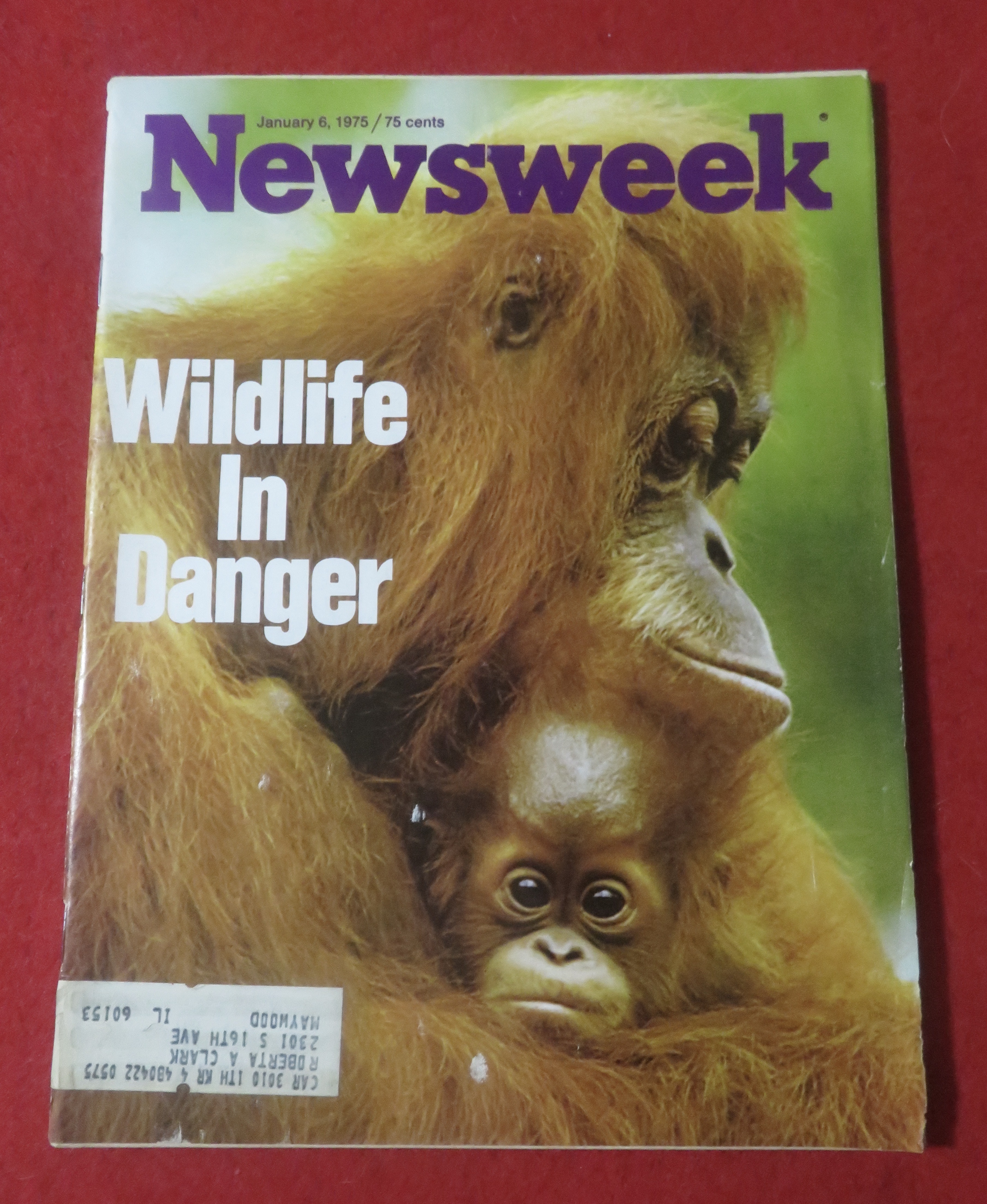 Newsweek Magazine January 6, 1975 Wildlife In Danger