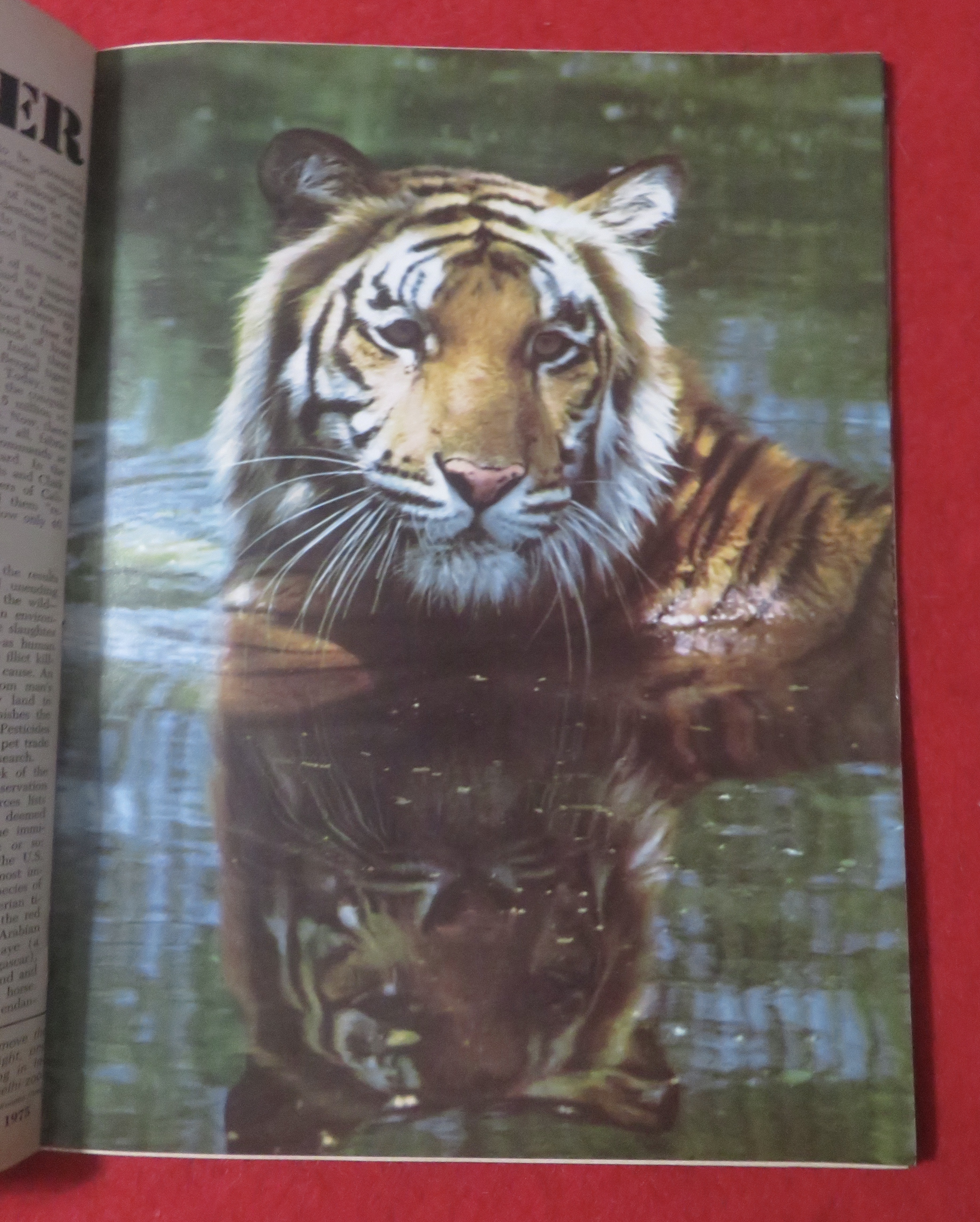 Newsweek Magazine January 6, 1975 Wildlife In Danger