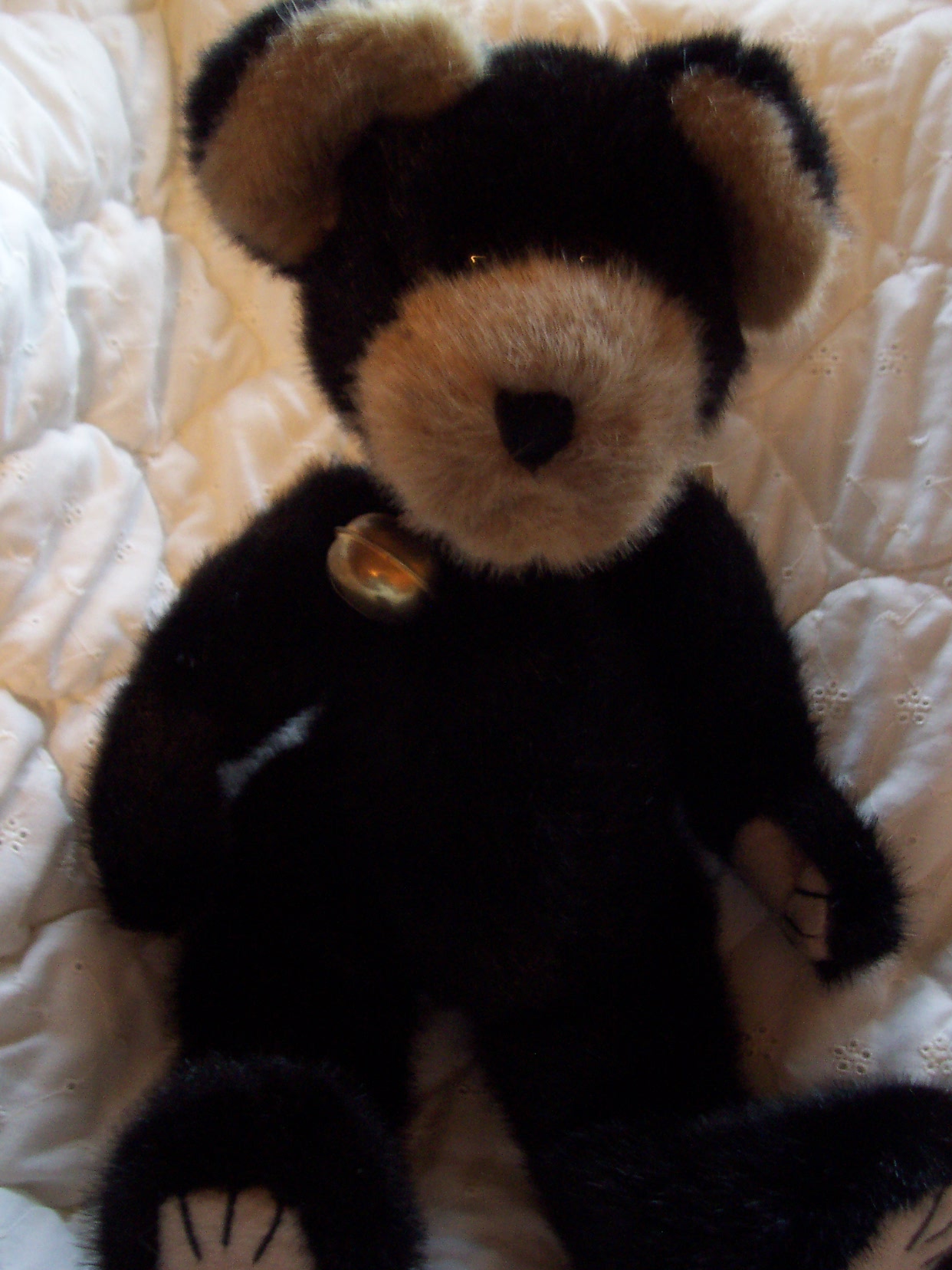 Boyds Bear Burlington P Beanster with tags