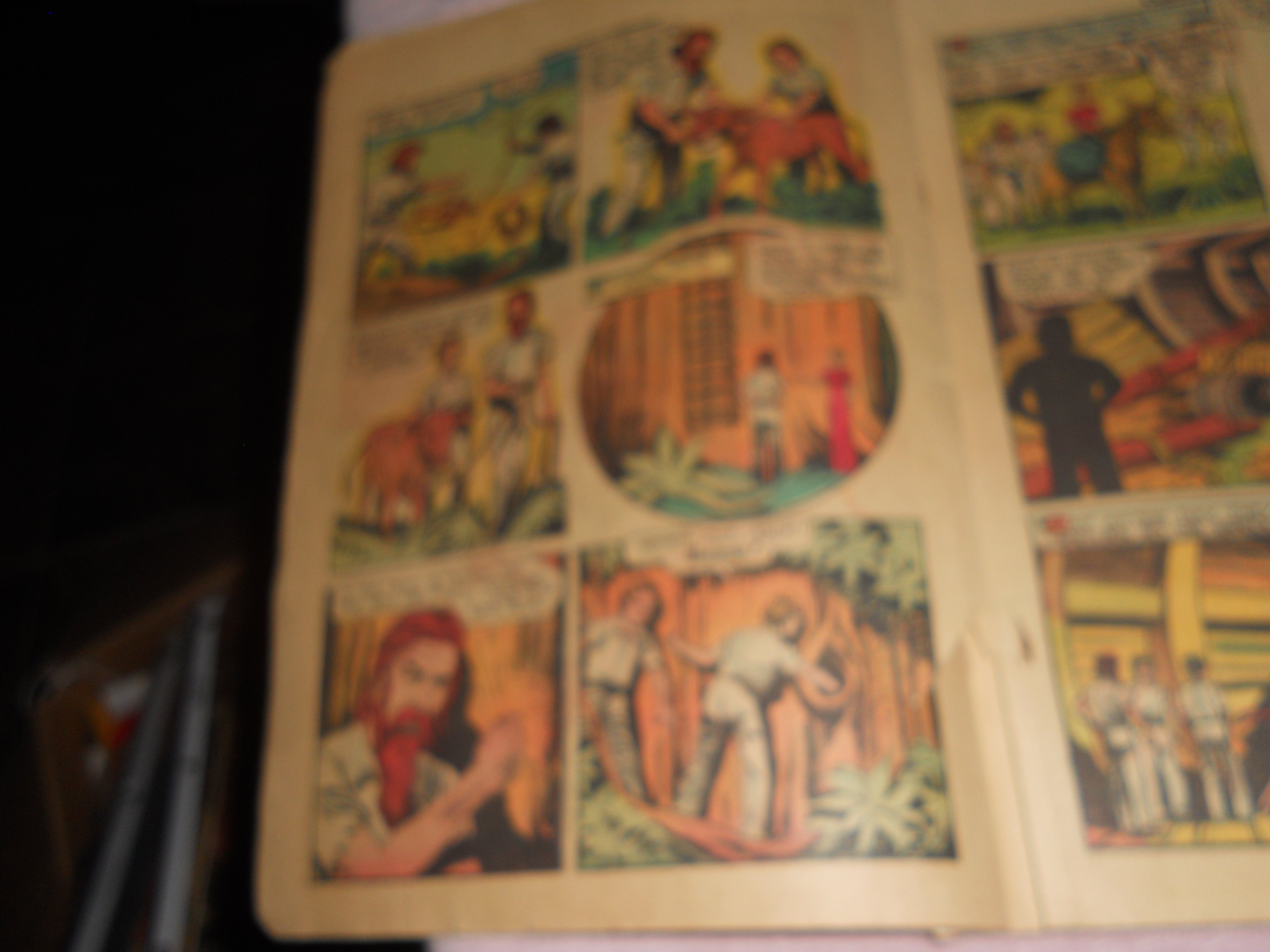Swiss Family Robinson Comic,1947