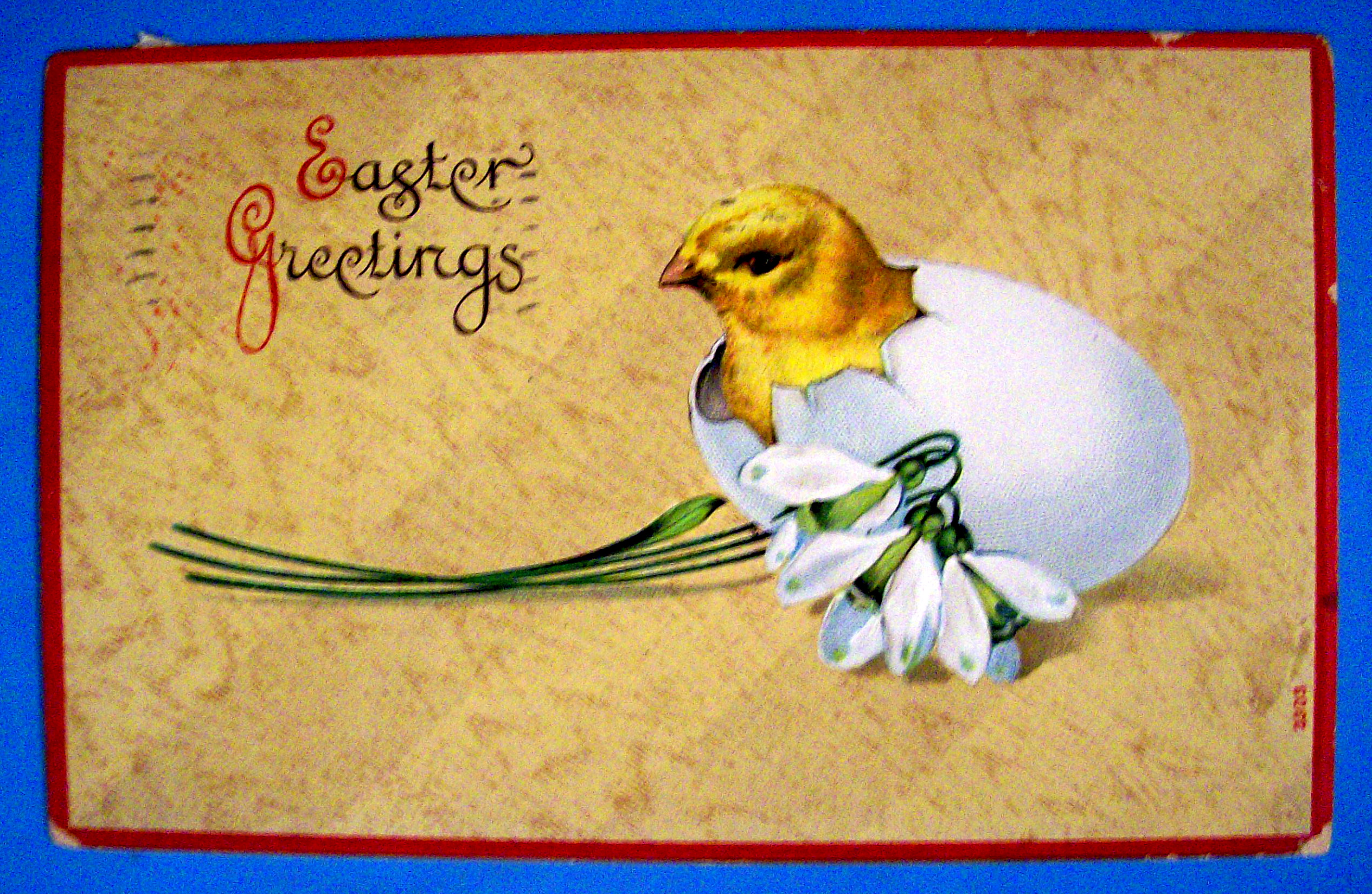 Easter Greetings Postcard w/Chick Sticking Head Out Egg