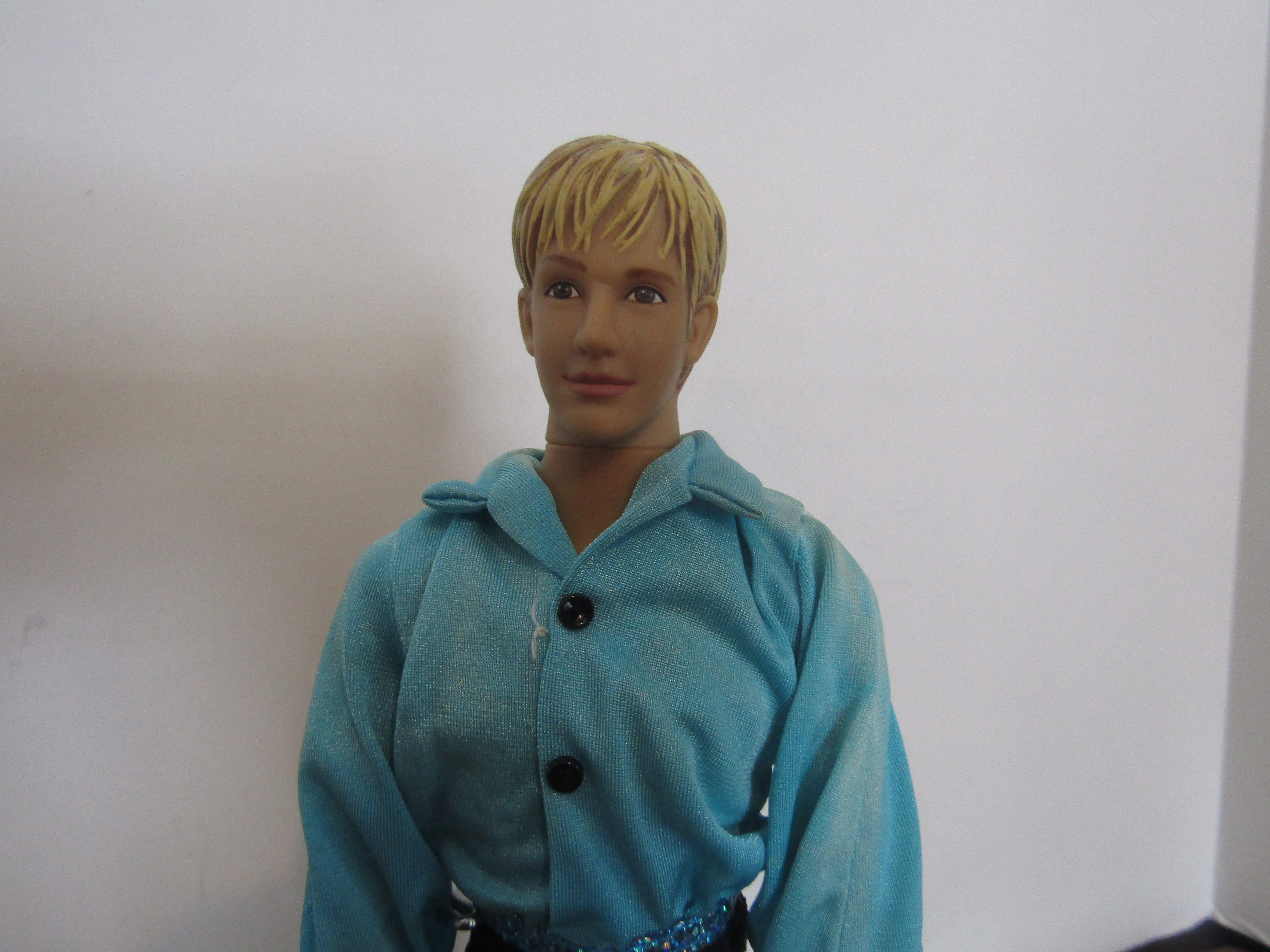 Play Along Toys Fashion Doll Aaron Carter