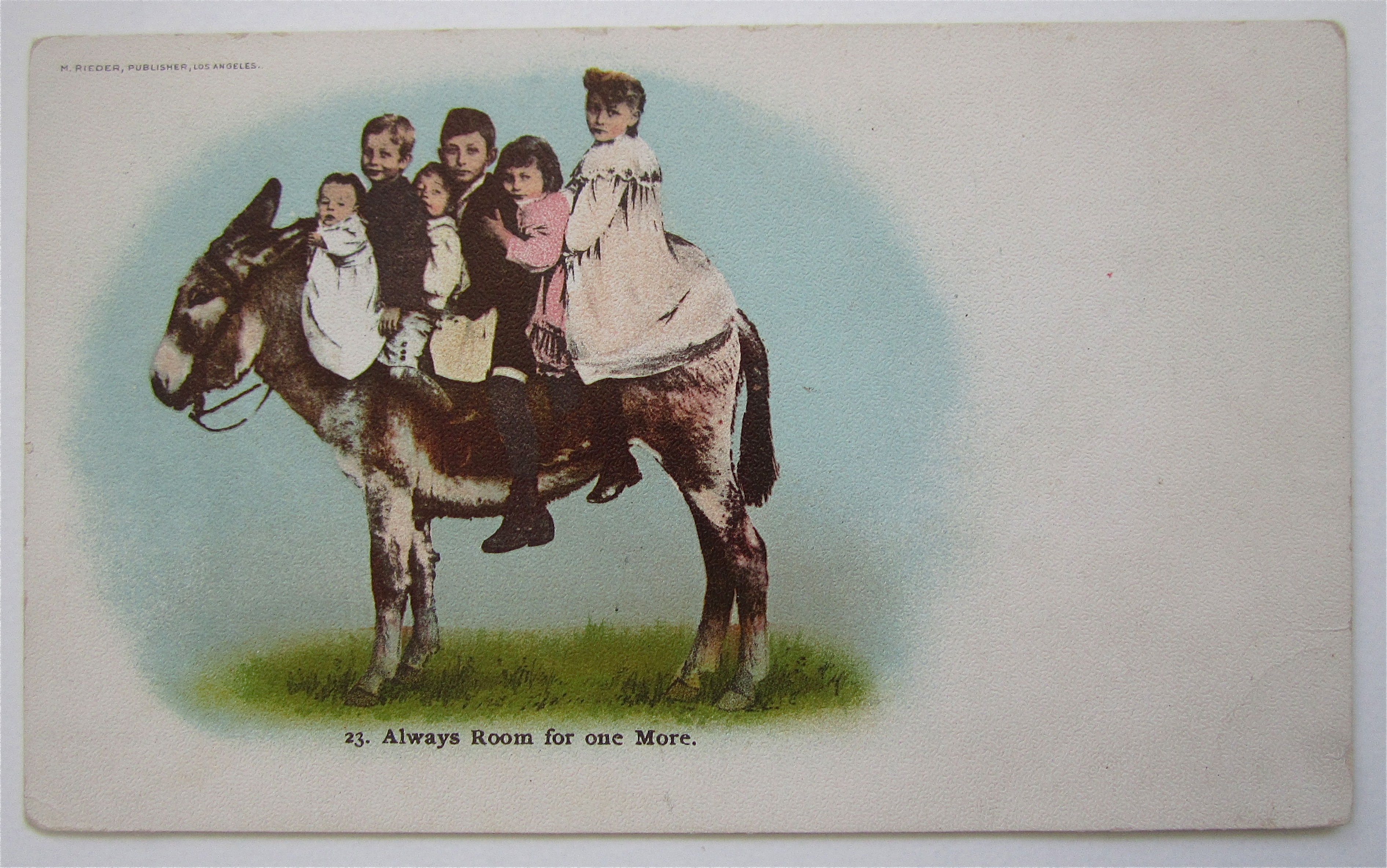 Children On A Donkey Postcard
