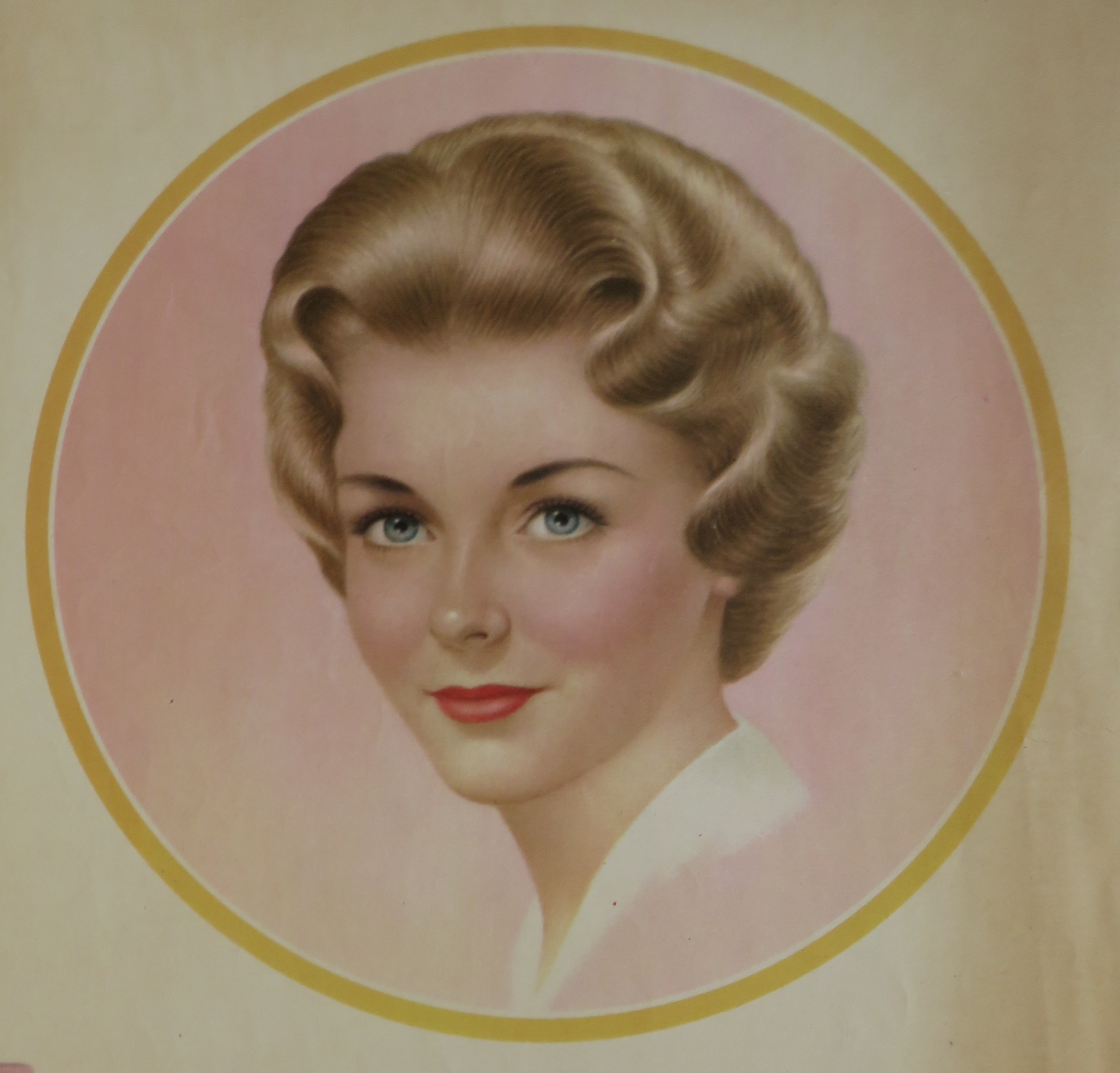 1960 Breck Hair Set Mist with Lovely Brown Haired Woman