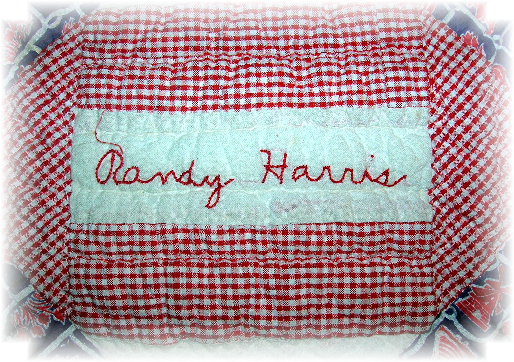 1930s Hand Quilted 'Names' Quilt 59x70