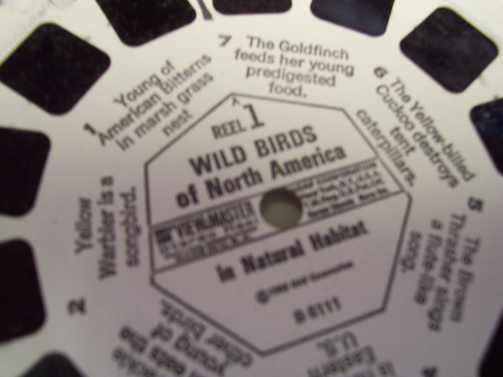 View Master 1955 Wild Birds Set 3