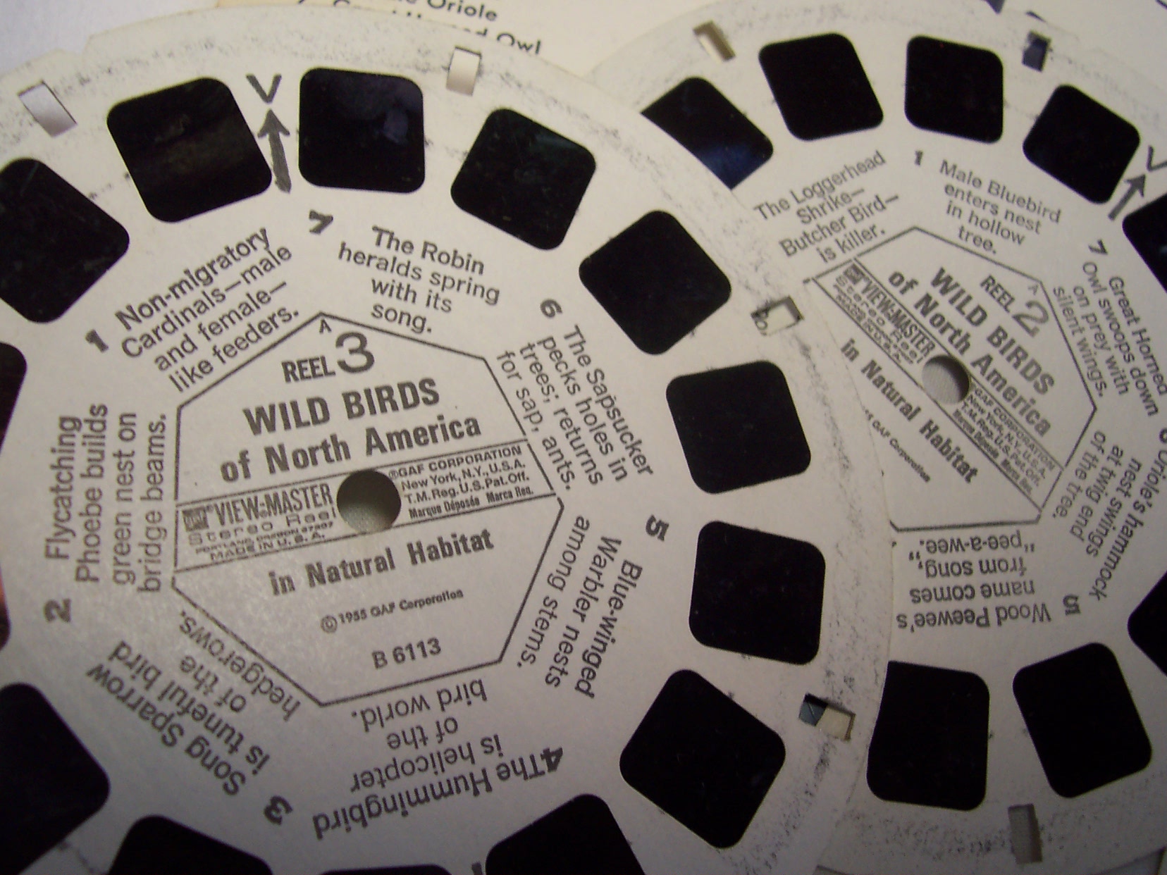 View Master 1955 Wild Birds Set 3