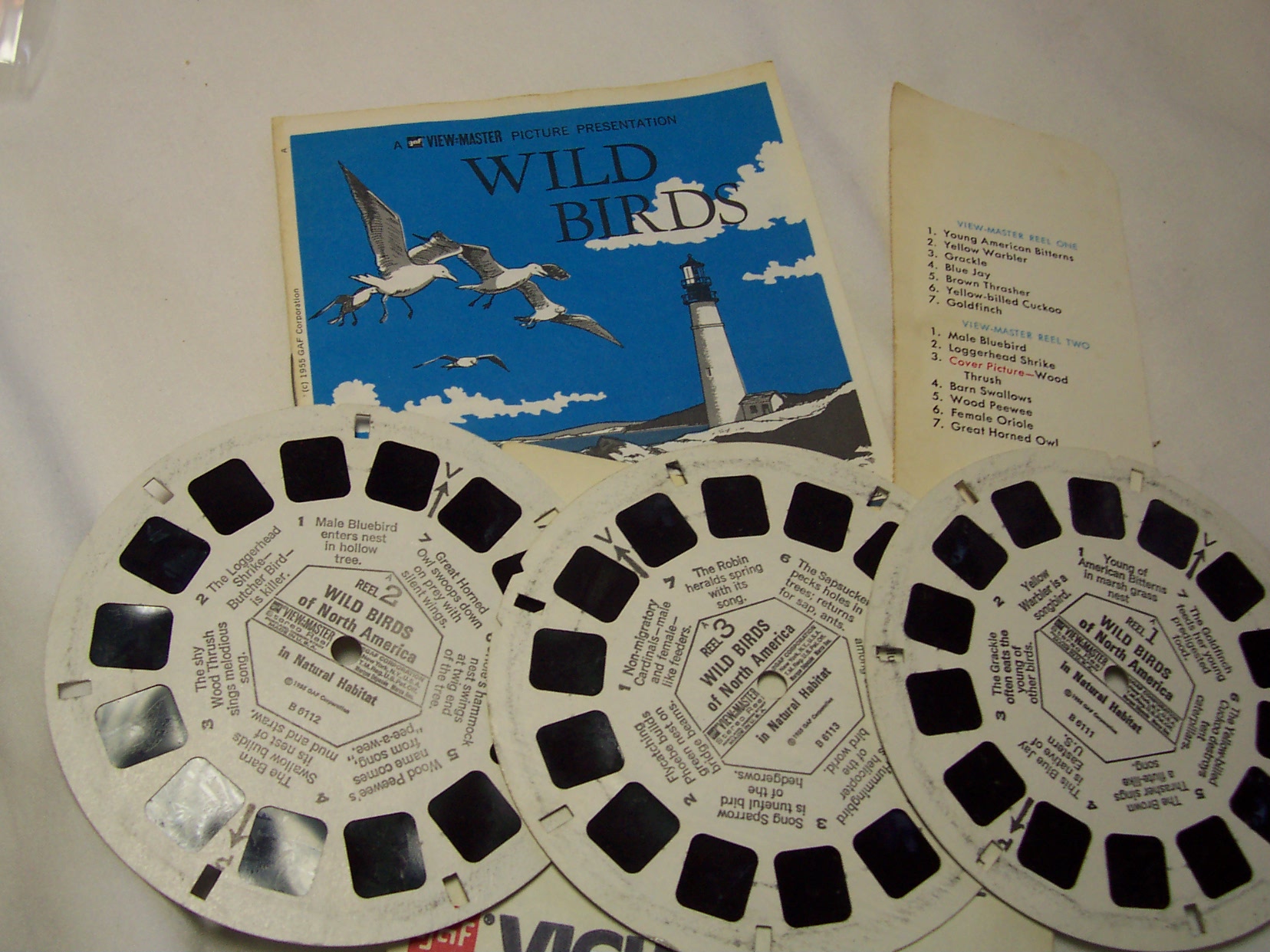 View Master 1955 Wild Birds Set 3