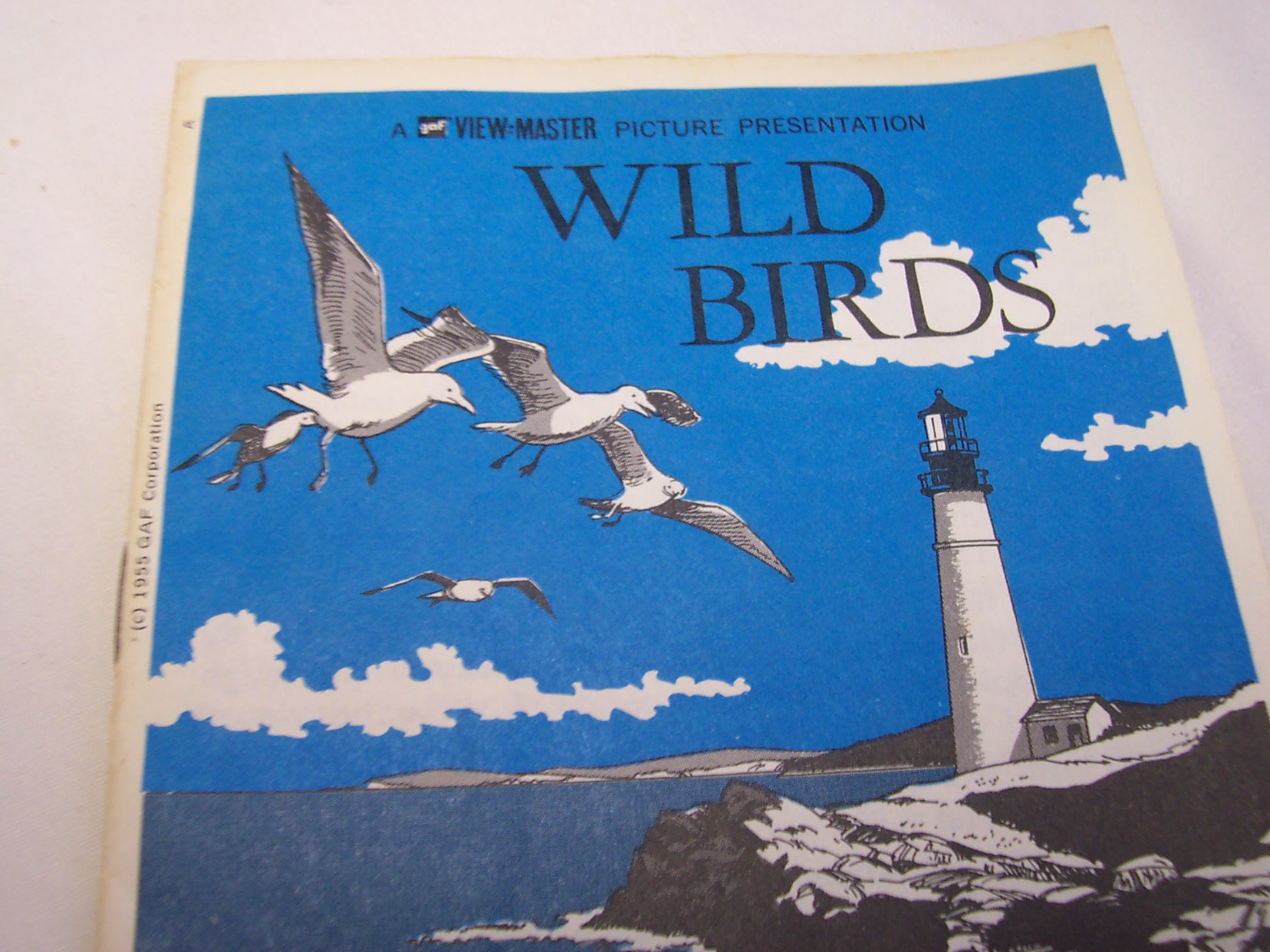 View Master 1955 Wild Birds Set 3