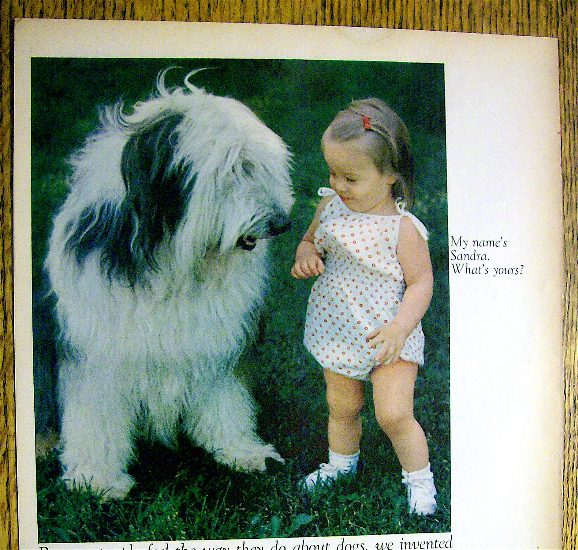 1968 Ken L Ration Burger with Little Girl with Her Dog