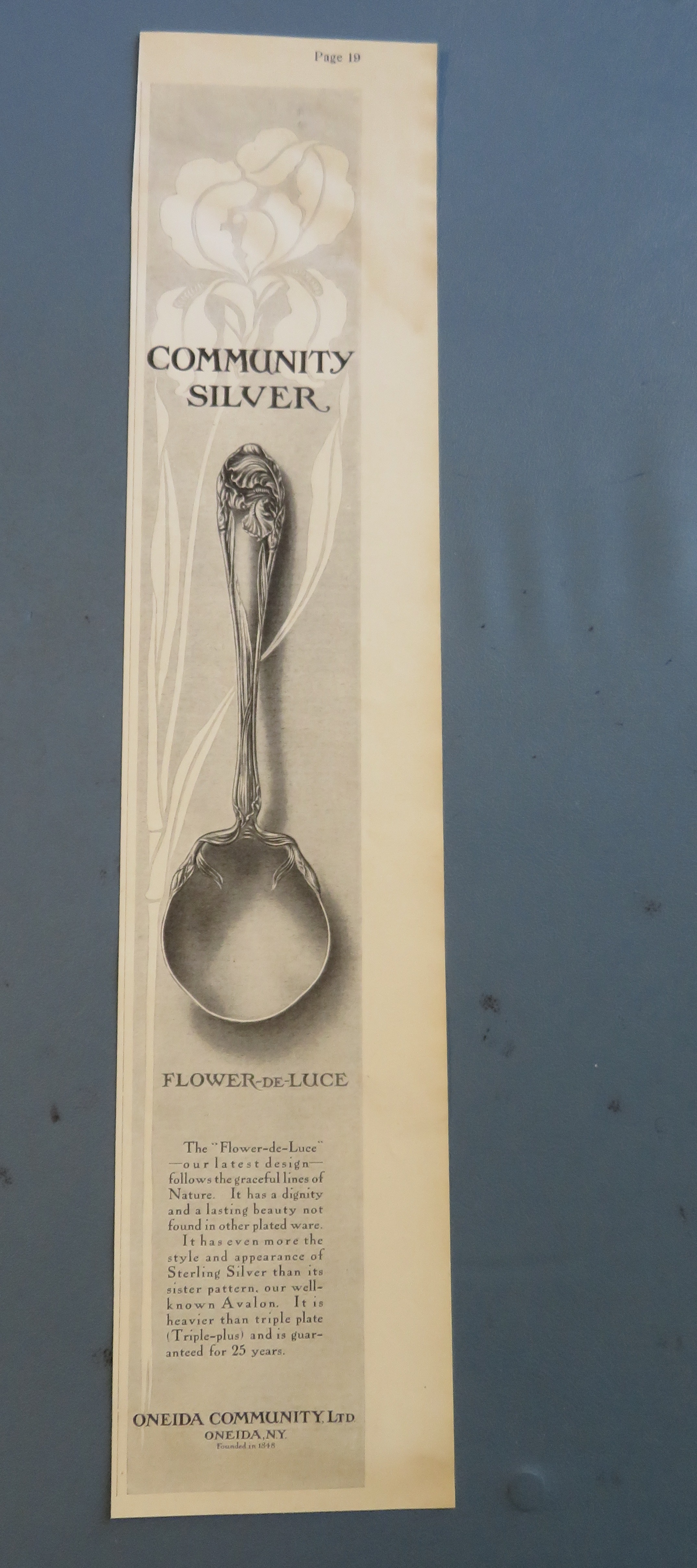 1905 Community Silver with A Flower De Luce Spoon