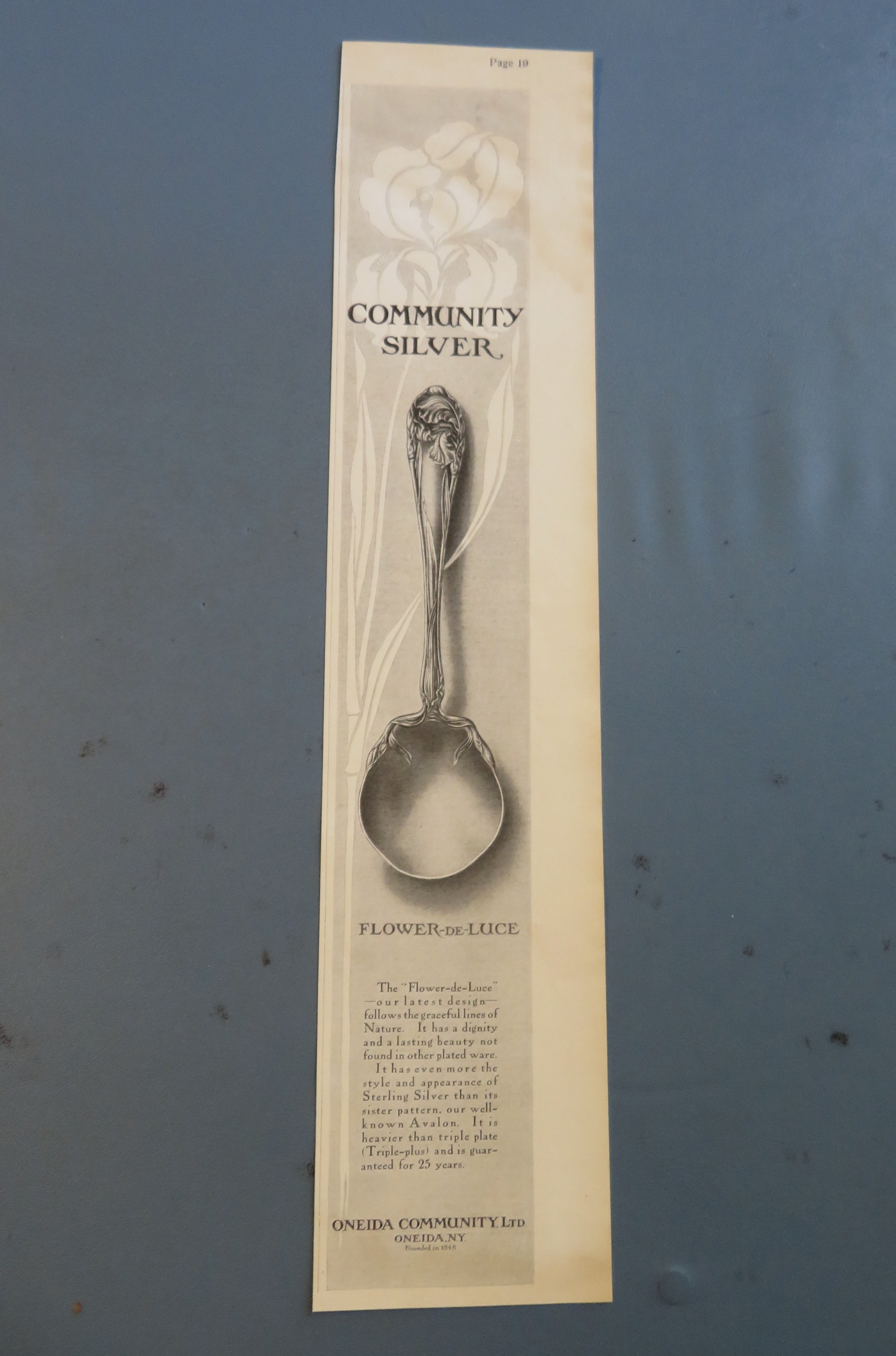 1905 Community Silver with A Flower De Luce Spoon