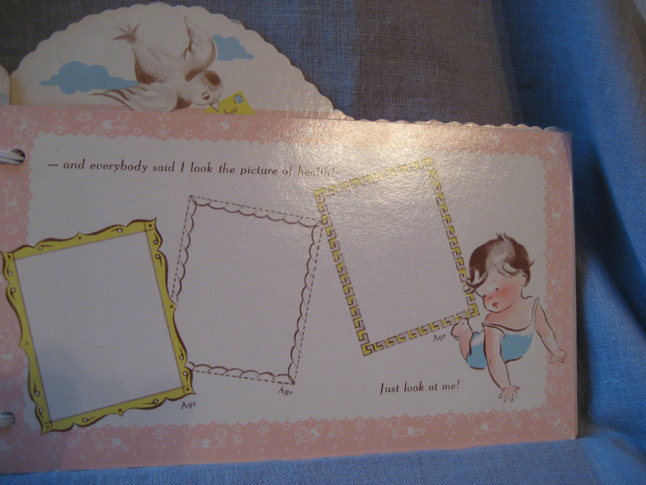Baby's First Diary