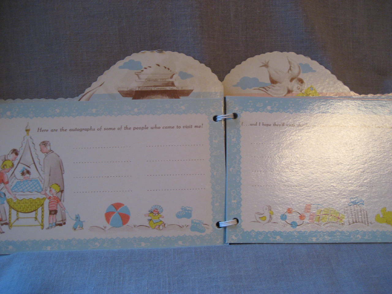 Baby's First Diary