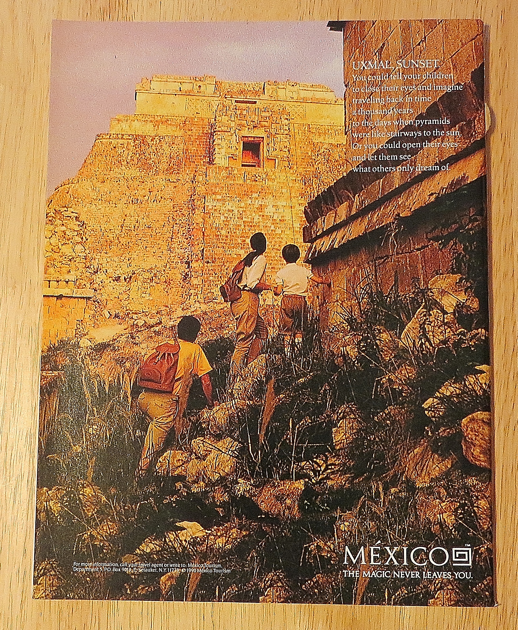 New Yorker Magazine August 13, 1990 Fish In A Horn