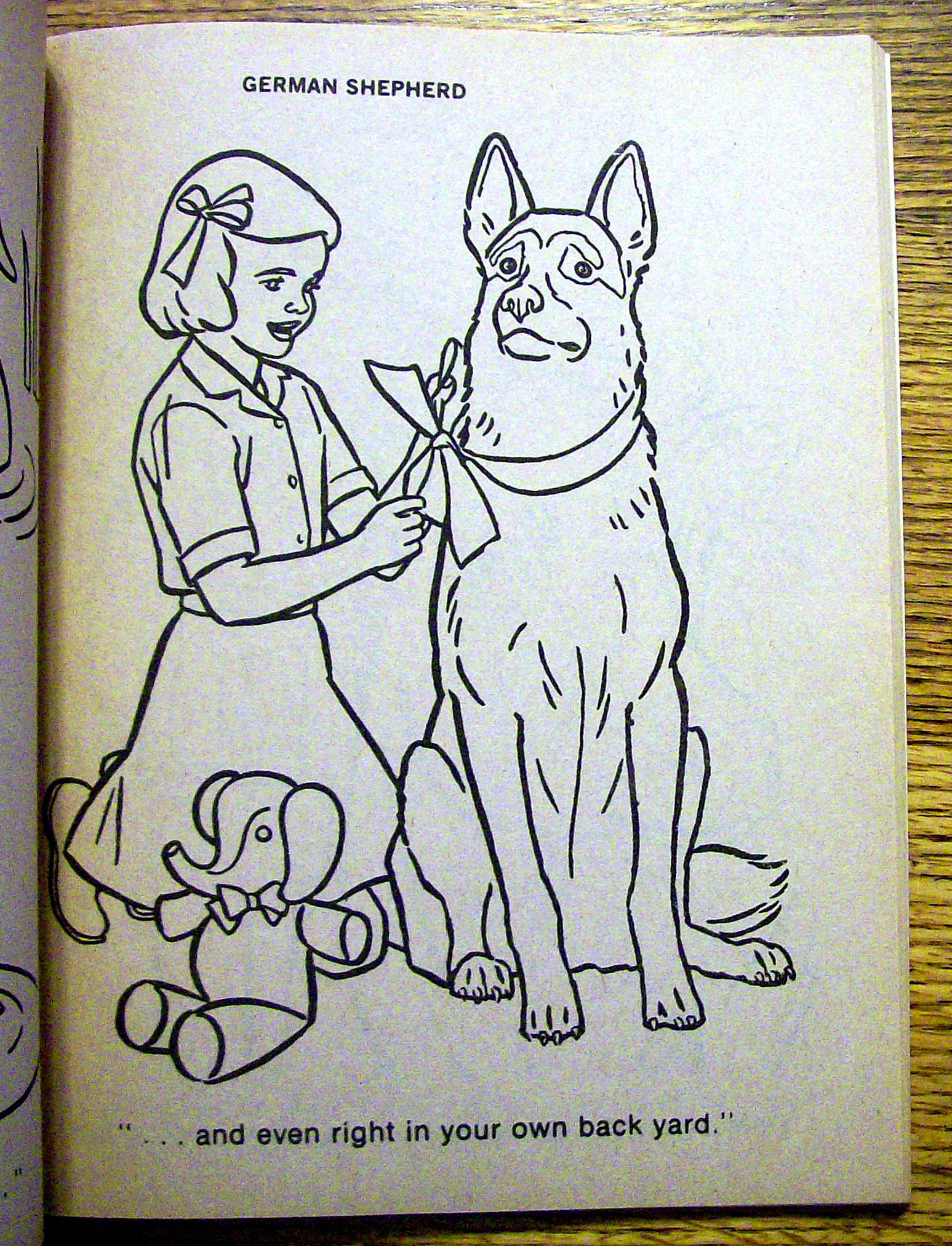Animal World Coloring Book 1977 (Cut Out On Back Cover)