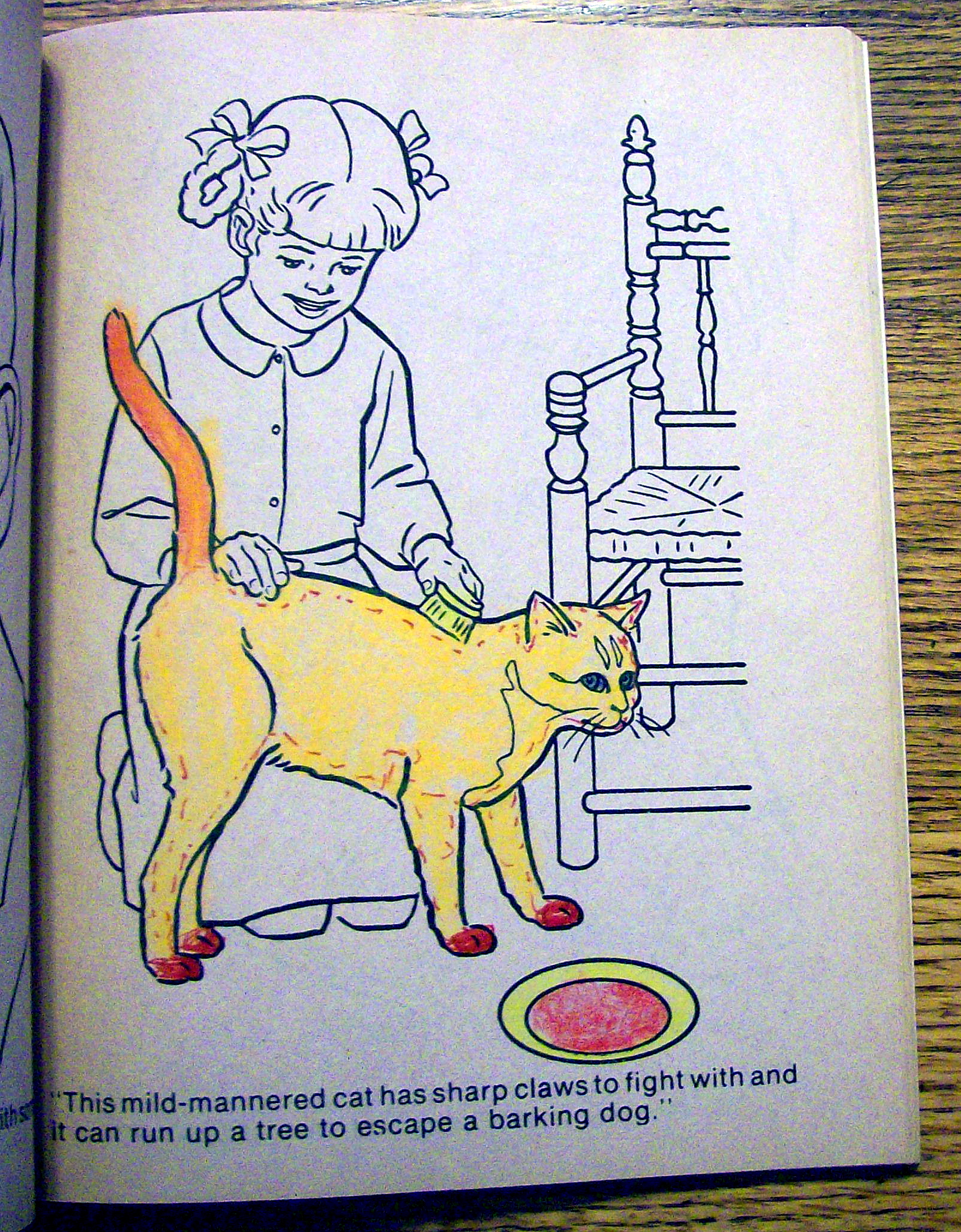 Animal World Coloring Book 1977 (Cut Out On Back Cover)