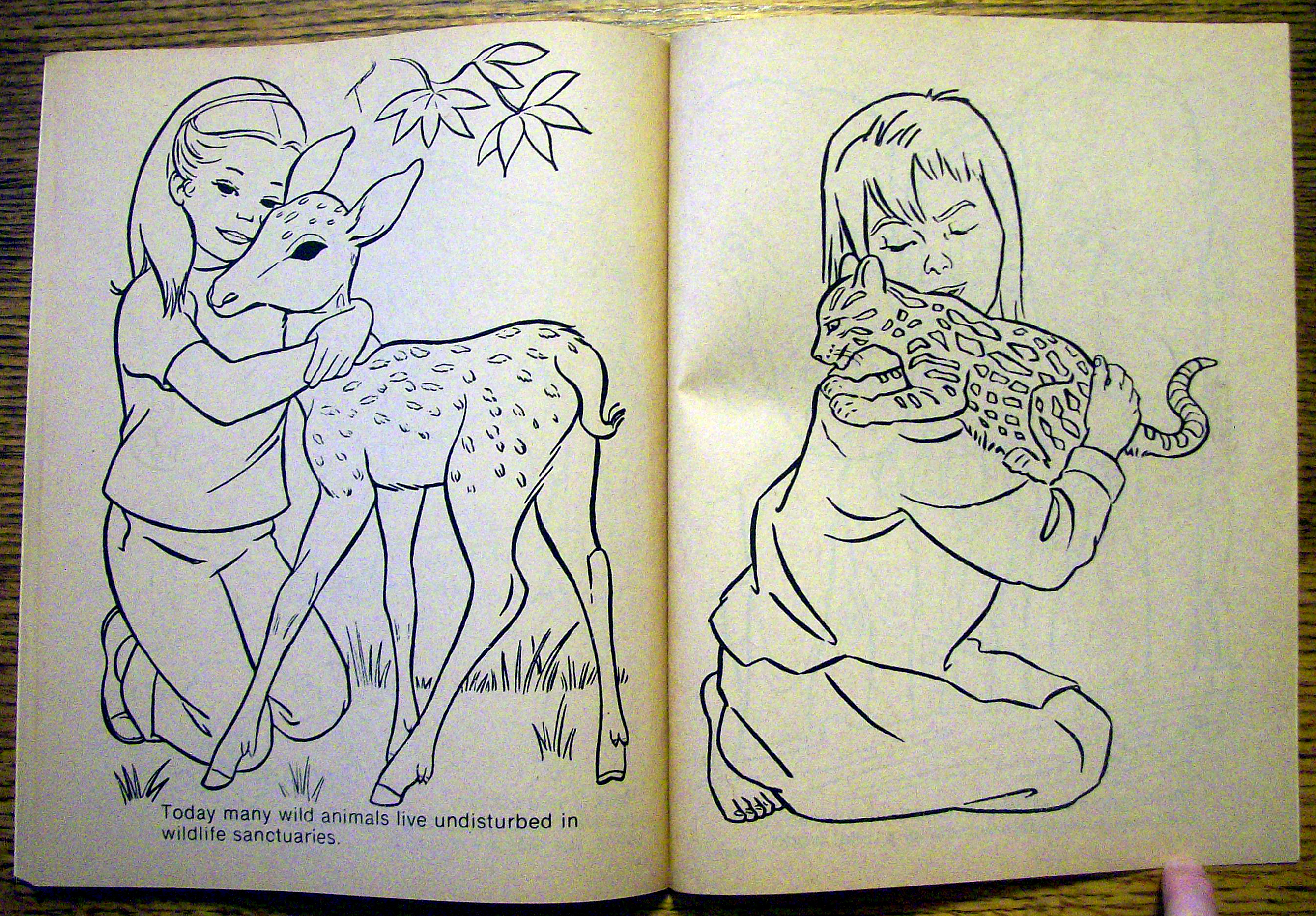 Animal World Coloring Book 1977 (Cut Out On Back Cover)