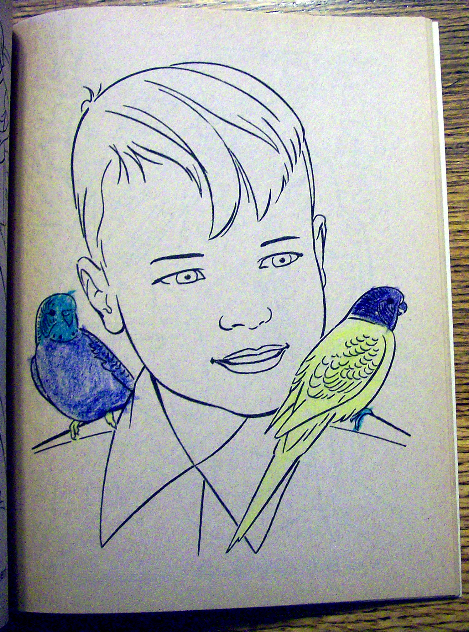 Animal World Coloring Book 1977 (Cut Out On Back Cover)