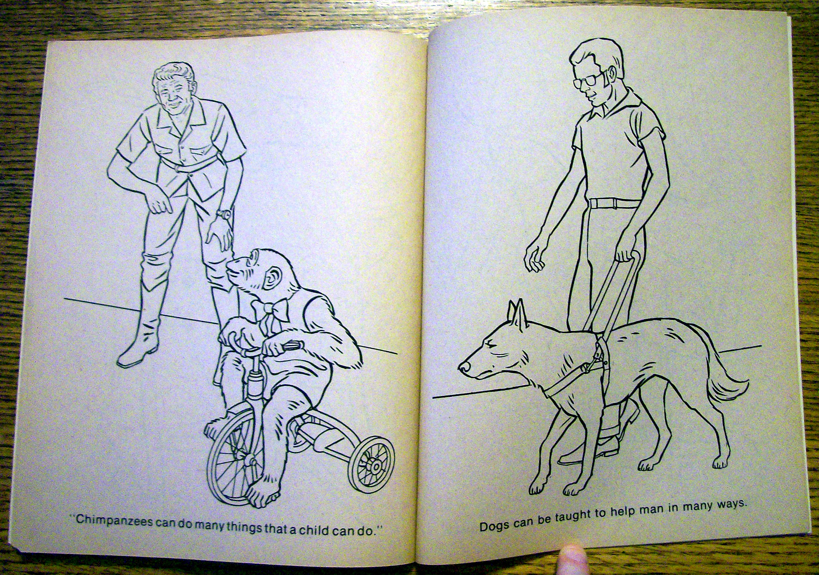 Animal World Coloring Book 1977 (Cut Out On Back Cover)