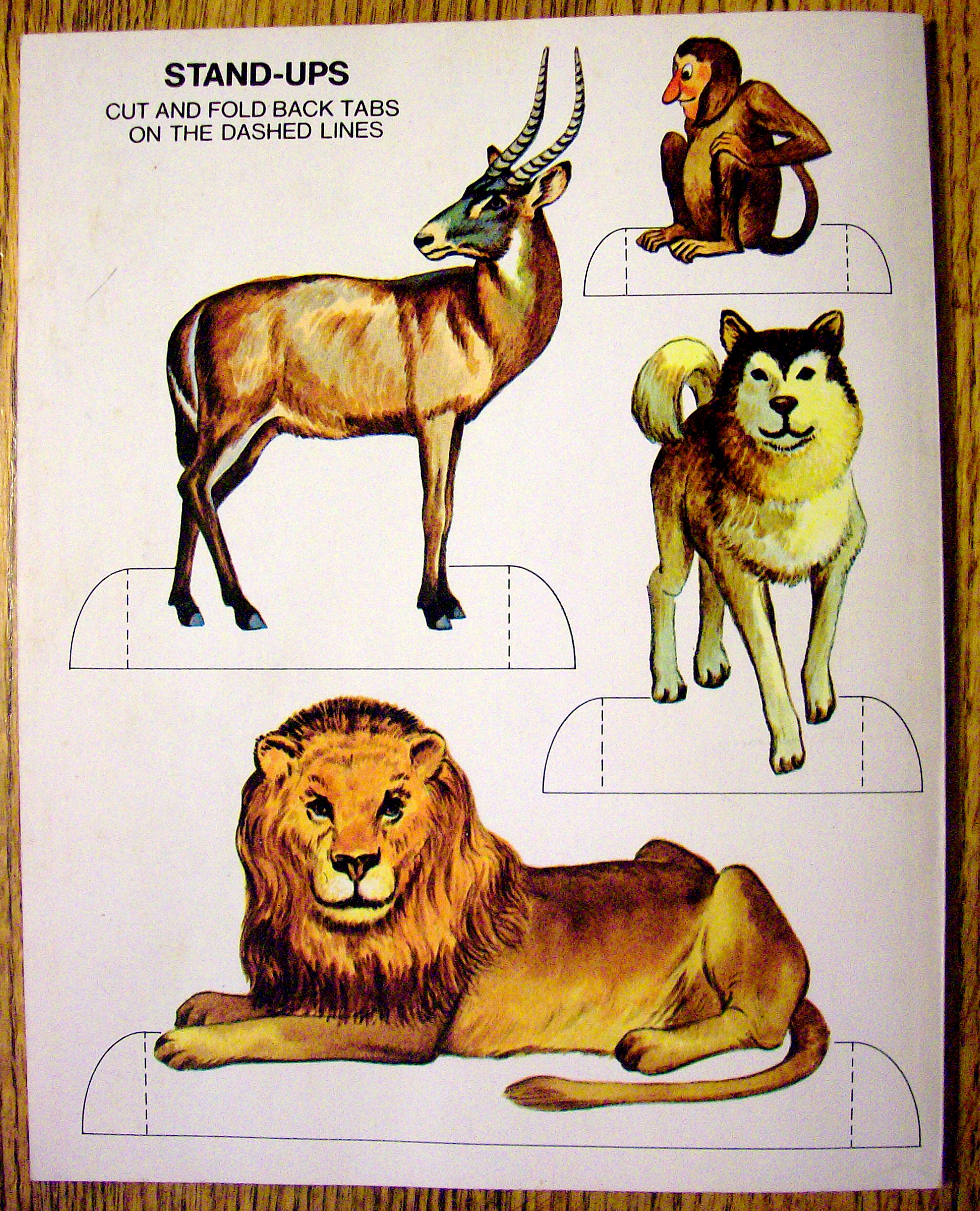 Animal World Coloring Book 1977 (Cut Out On Back Cover)