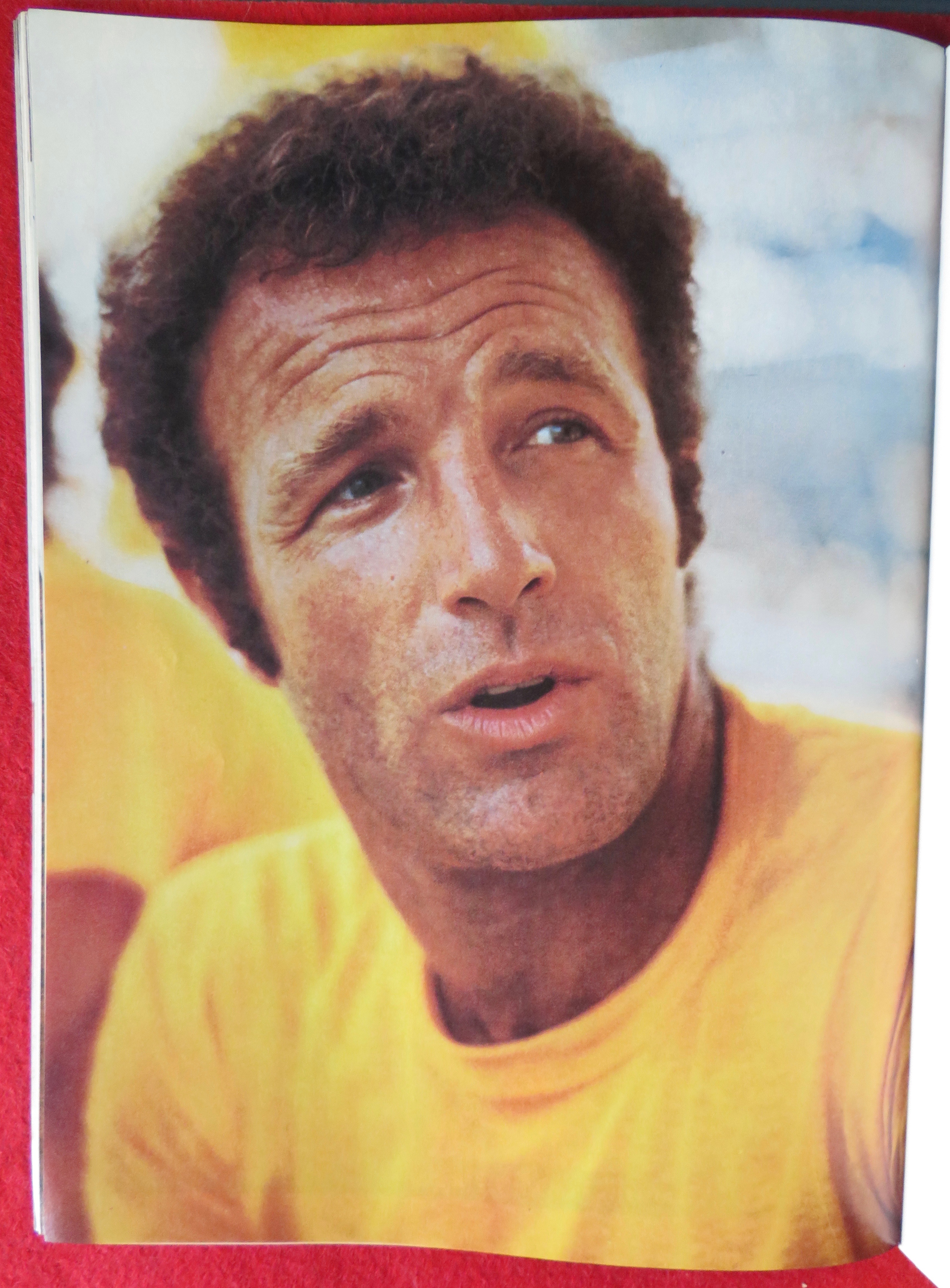 Playgirl Magazine January 1977 Tom Gagen