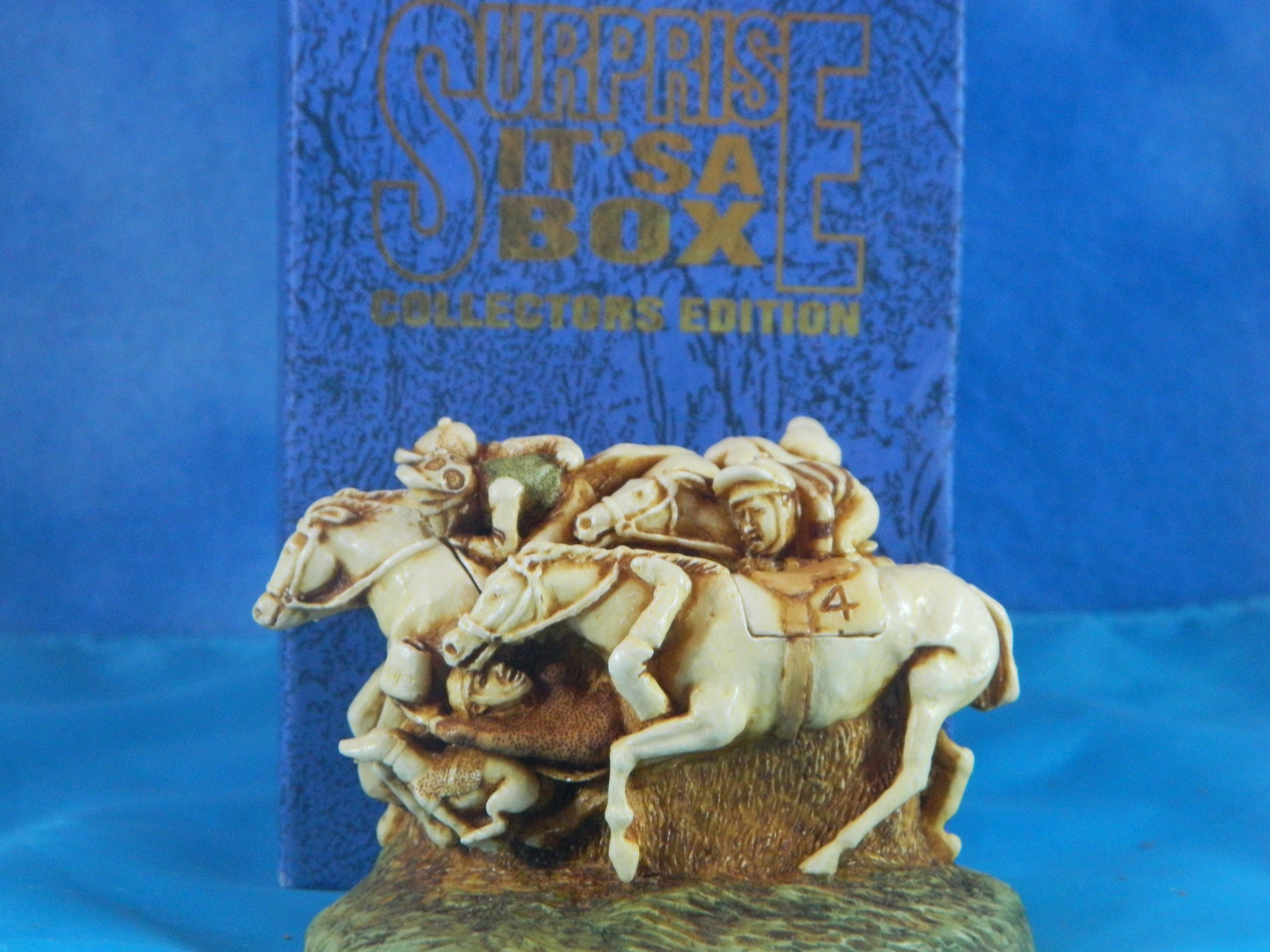 Surprise it's a Box  Horse Race