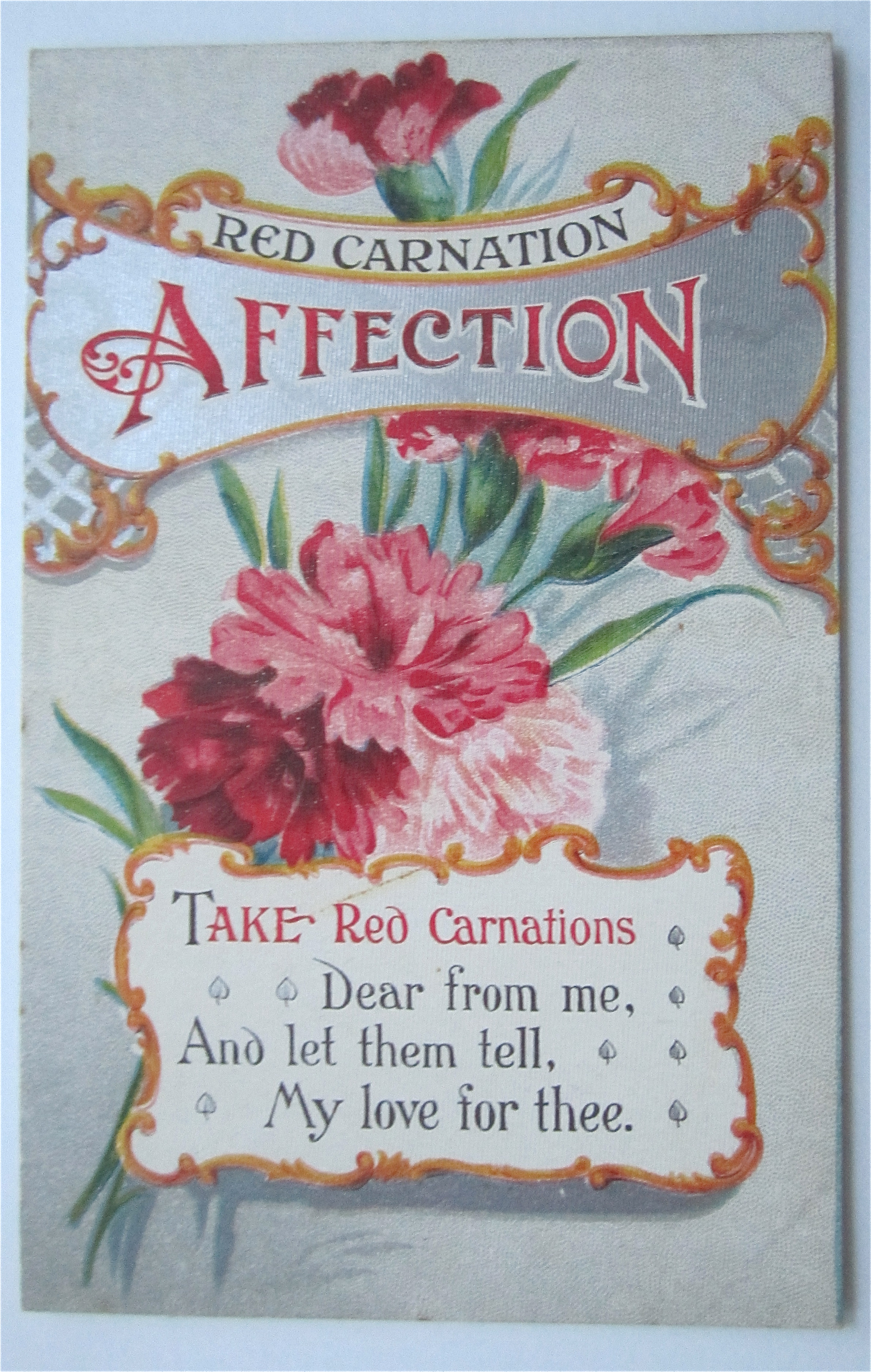 Red Carnation Postcard (Affection)