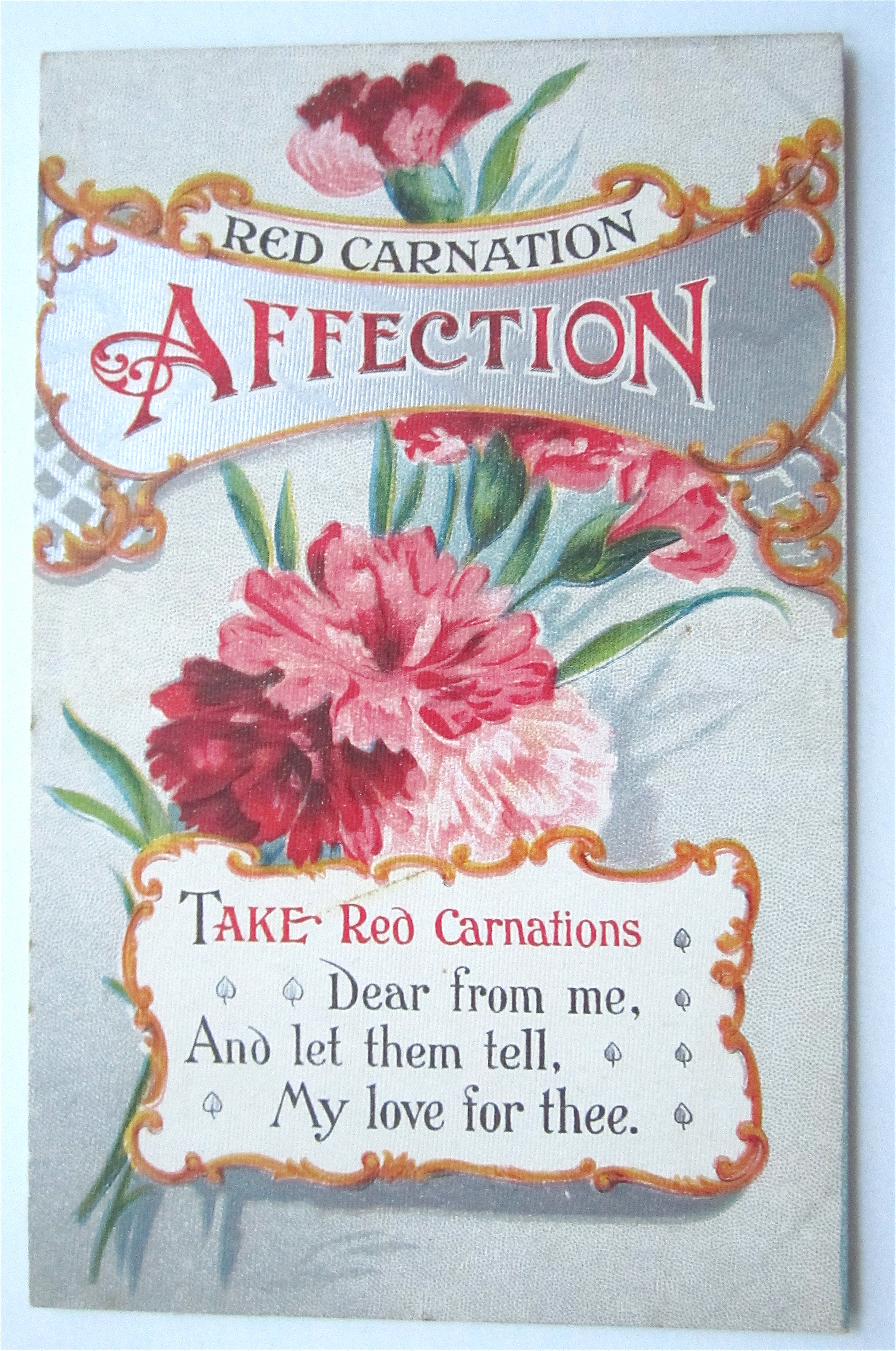 Red Carnation Postcard (Affection)