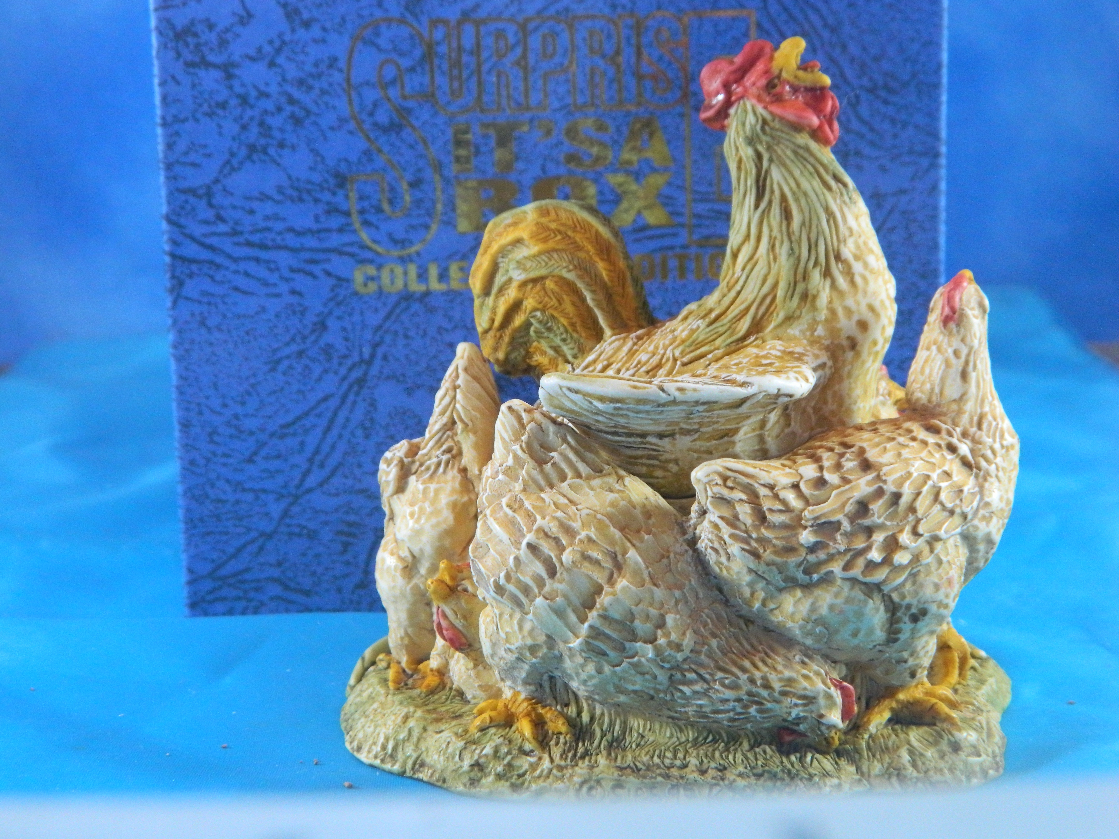 Surprise it's a Box Rooster and Hens