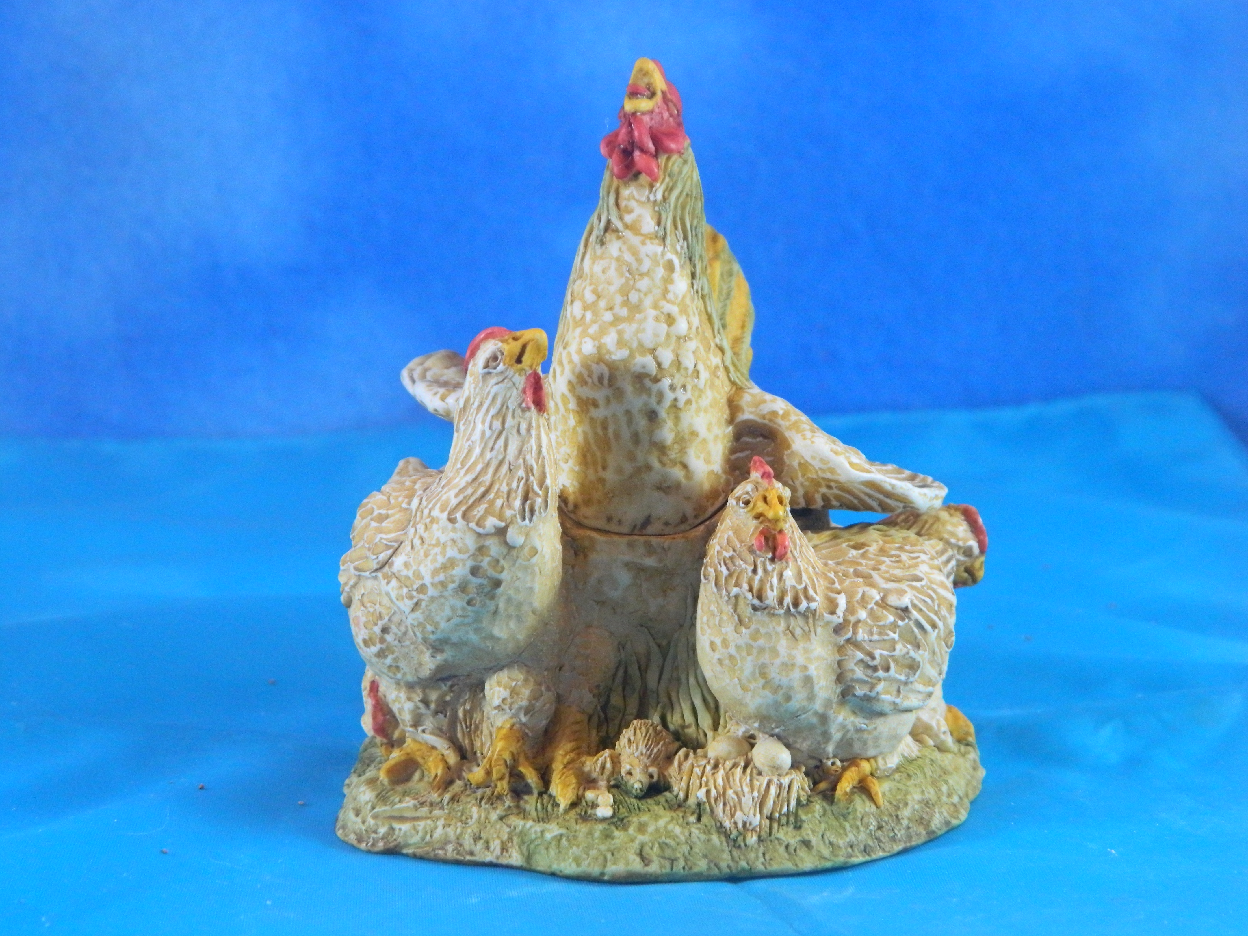 Surprise it's a Box Rooster and Hens