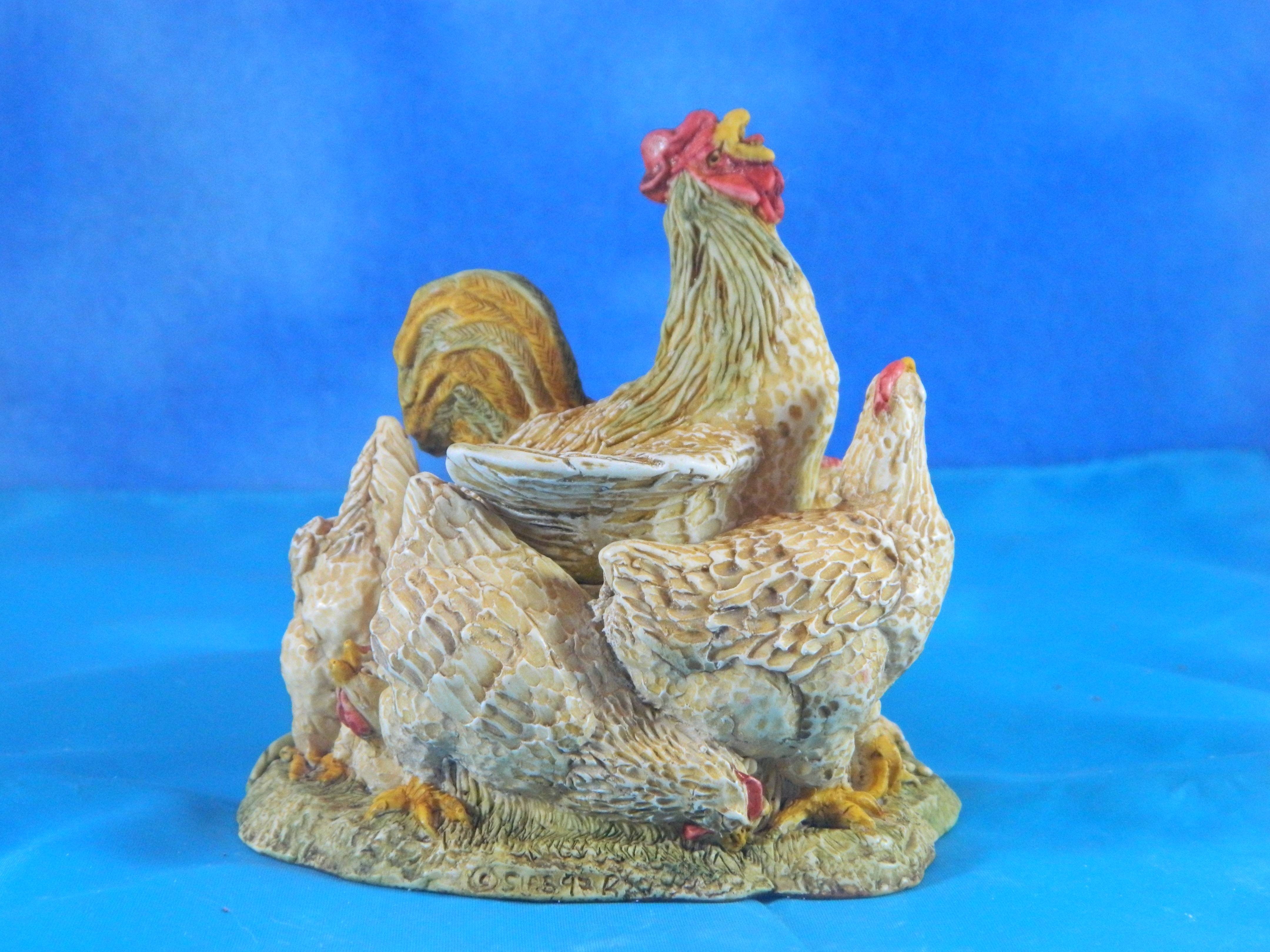 Surprise it's a Box Rooster and Hens