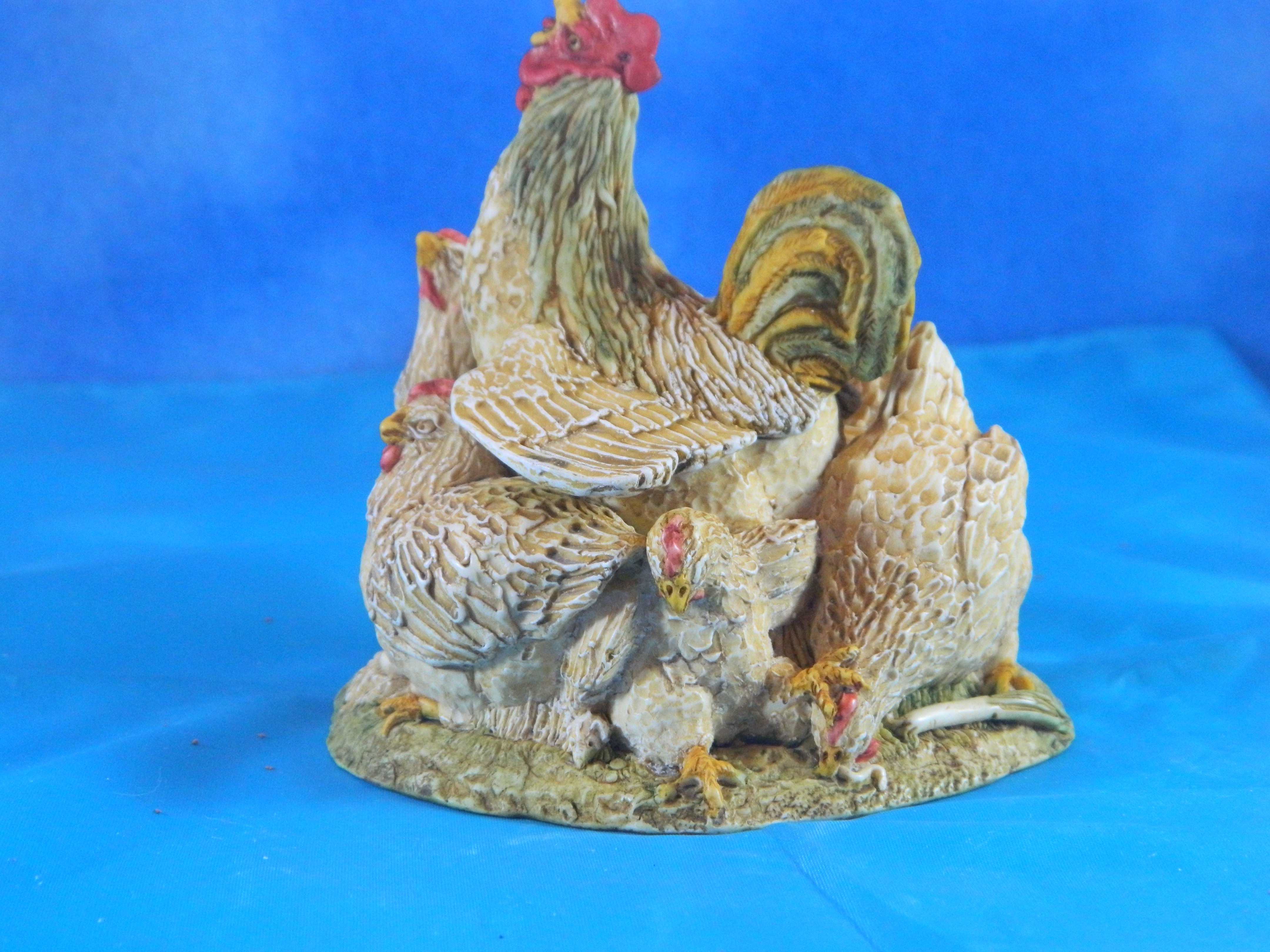 Surprise it's a Box Rooster and Hens