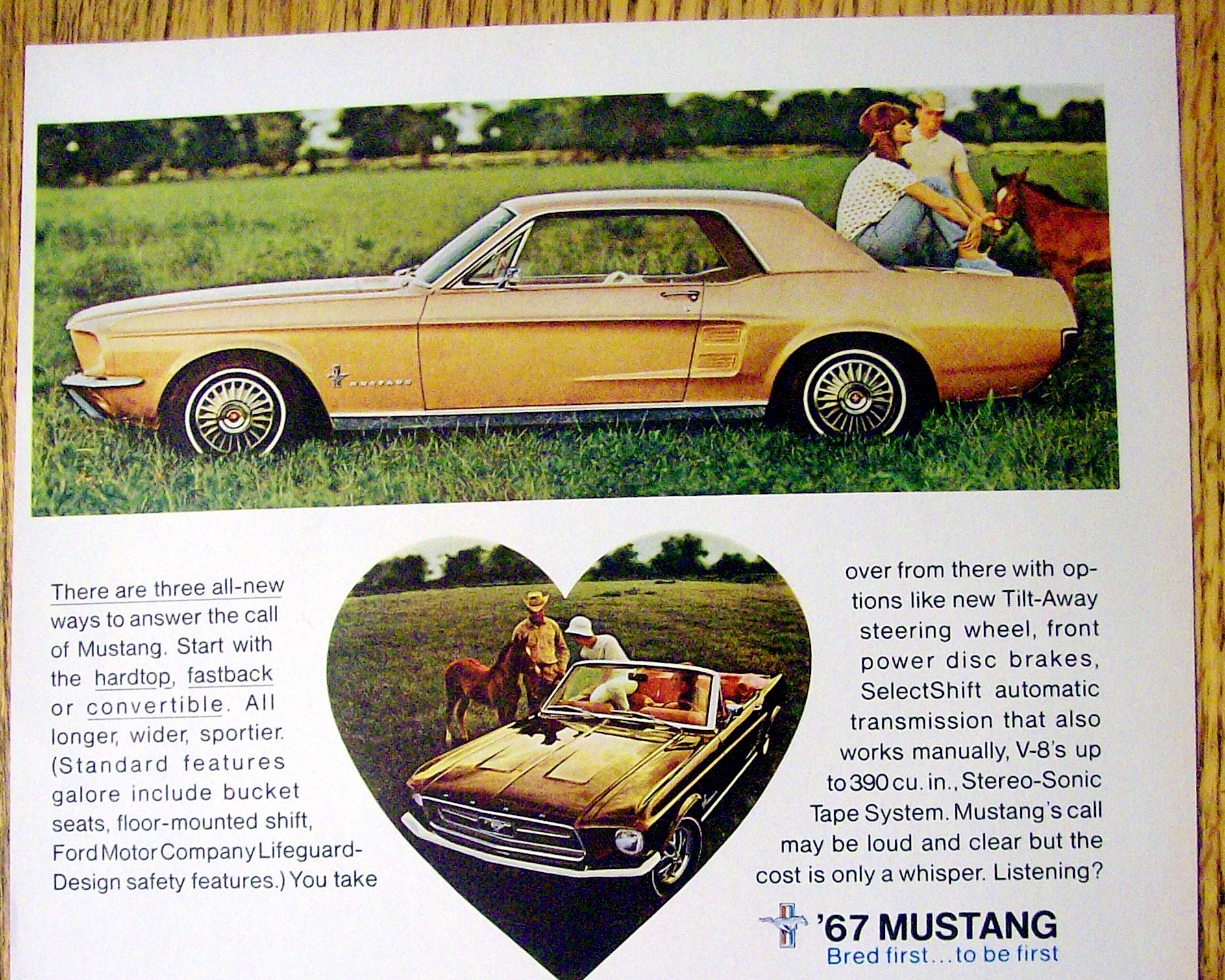 1966 Ford Mustang Ad with Hardtop & Convertible