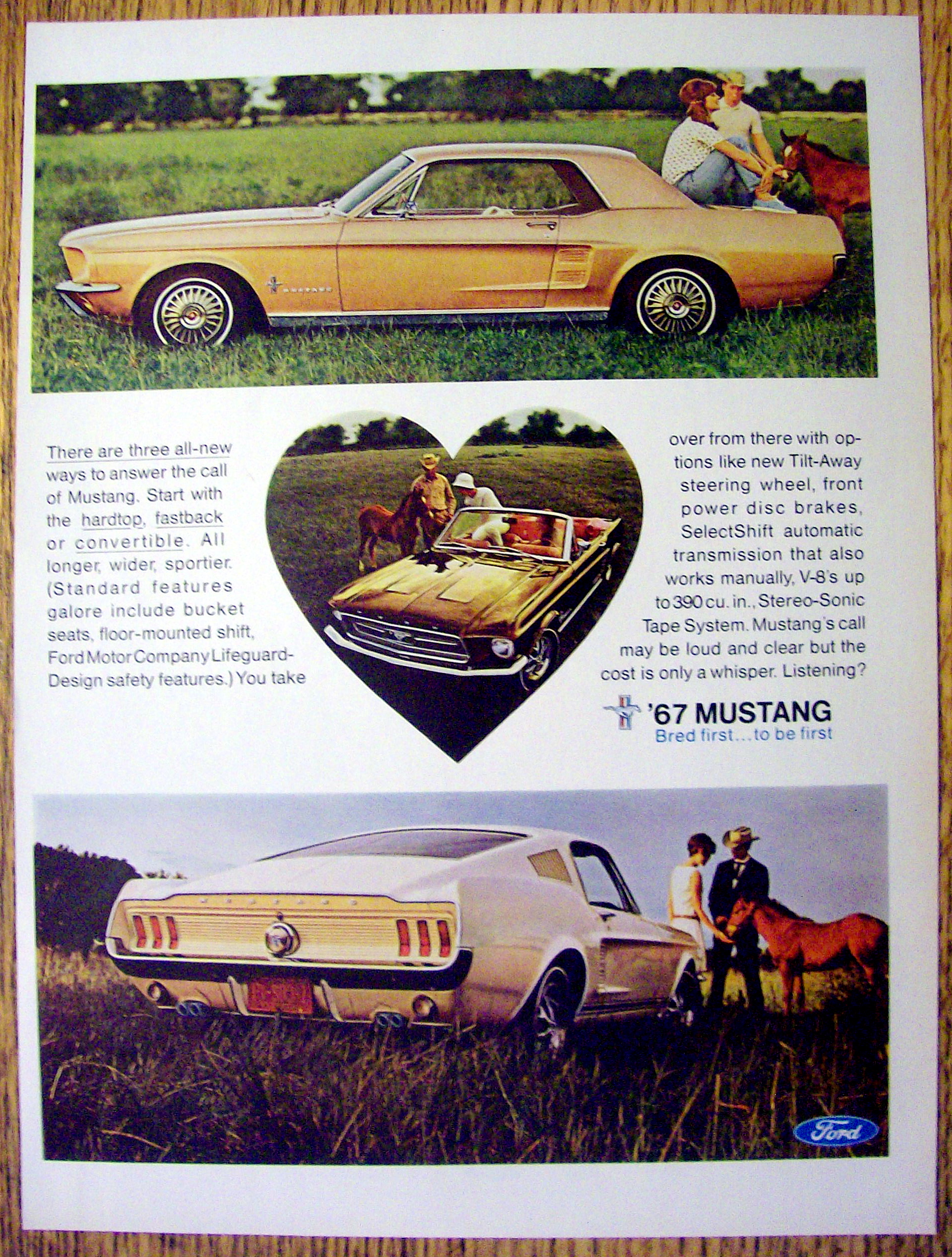 1966 Ford Mustang Ad with Hardtop & Convertible
