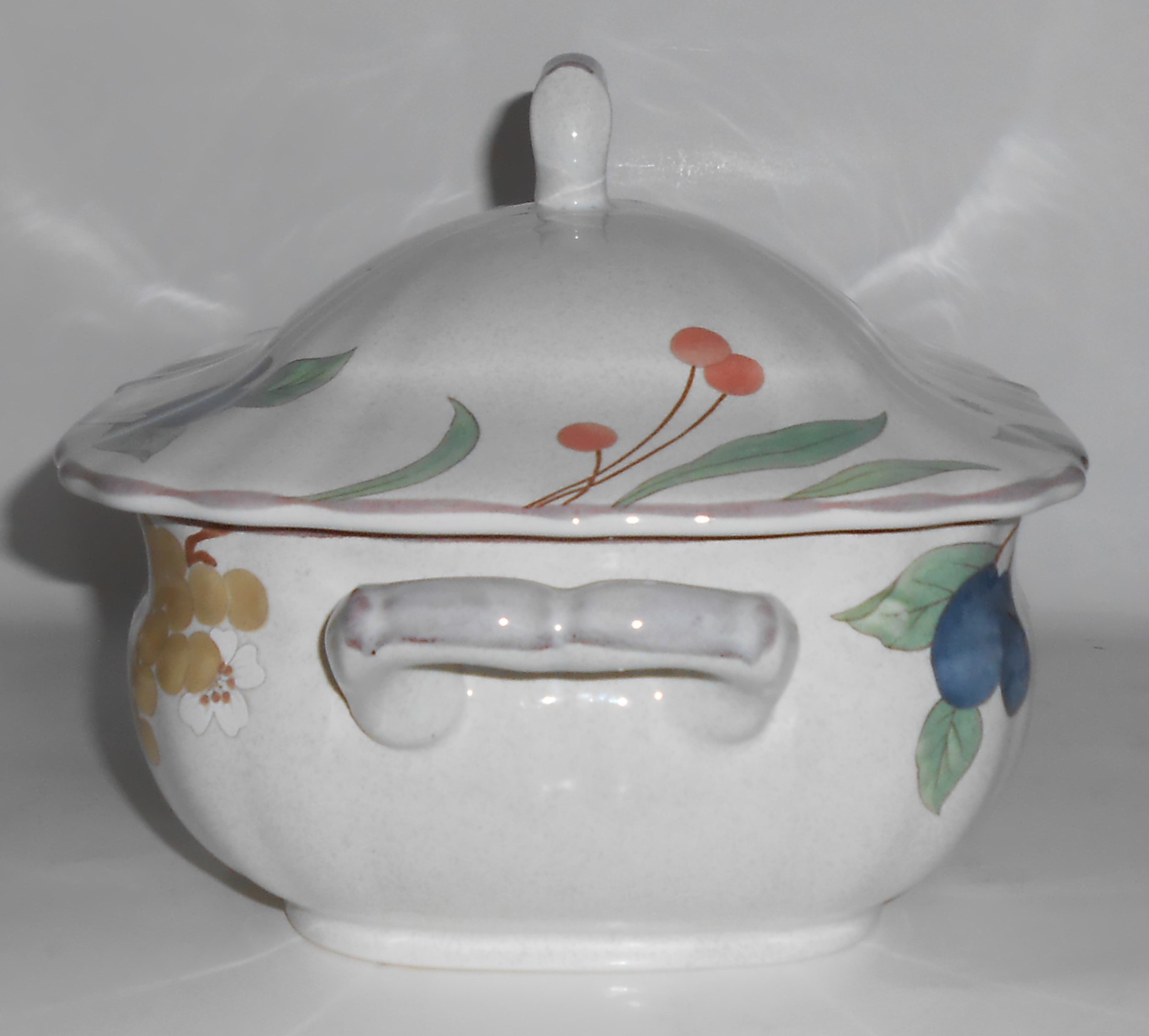 Mikasa China Fruit Panorama Soup Tureen w/Lid