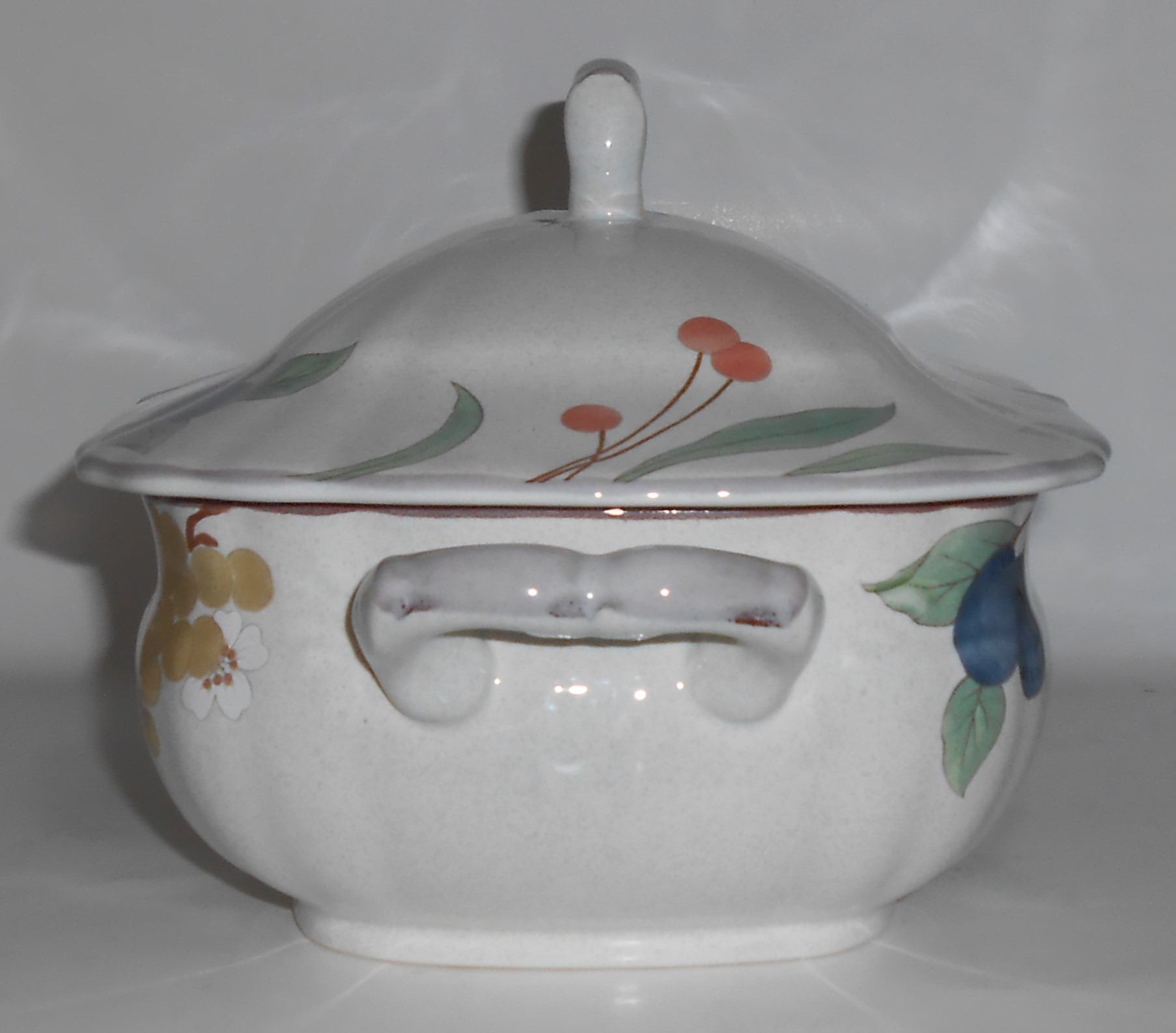 Mikasa China Fruit Panorama Soup Tureen w/Lid