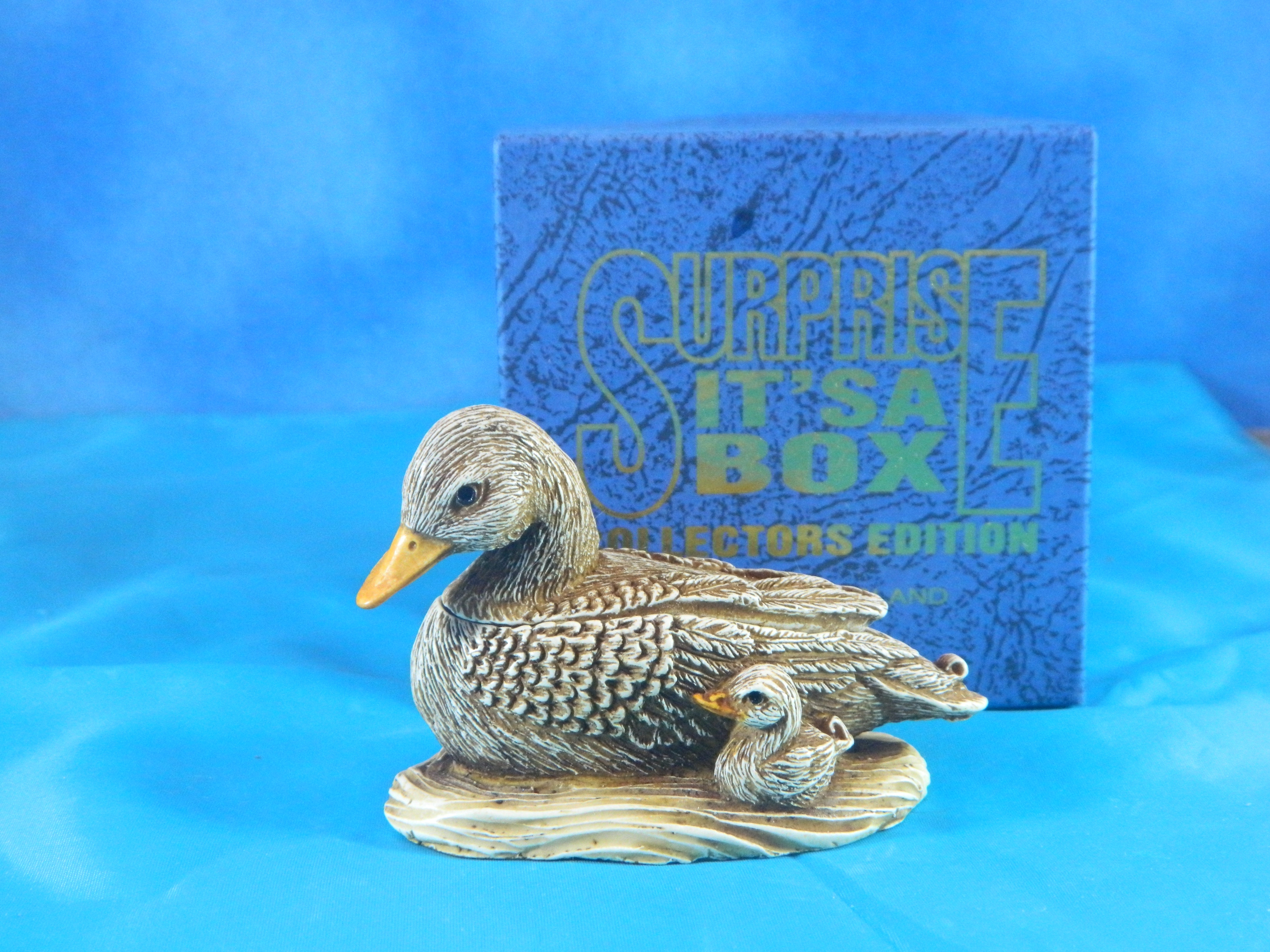 Surprise it's a Box Duck and Baby