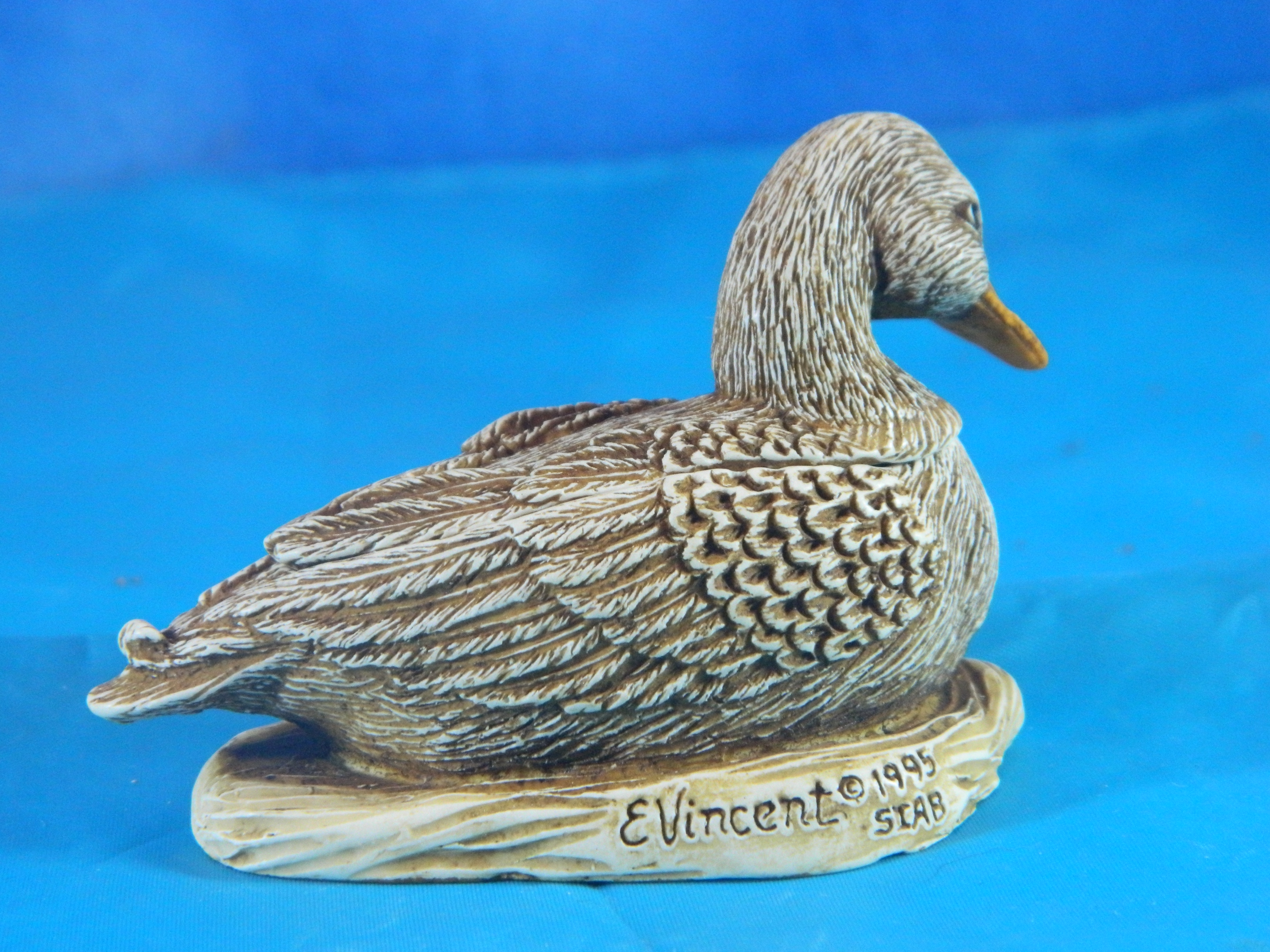 Surprise it's a Box Duck and Baby