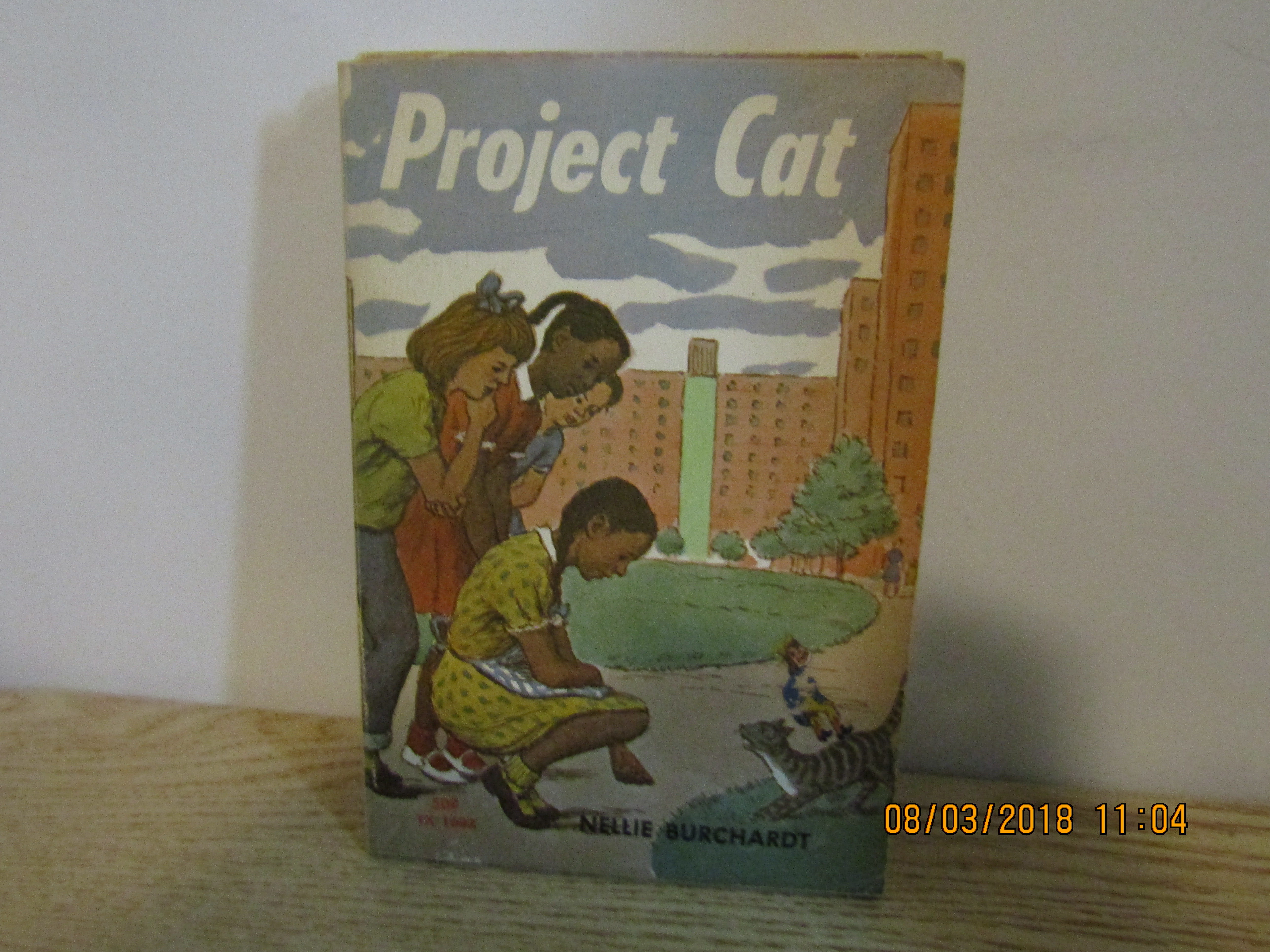 Vintage Young Person's Book Project Cat